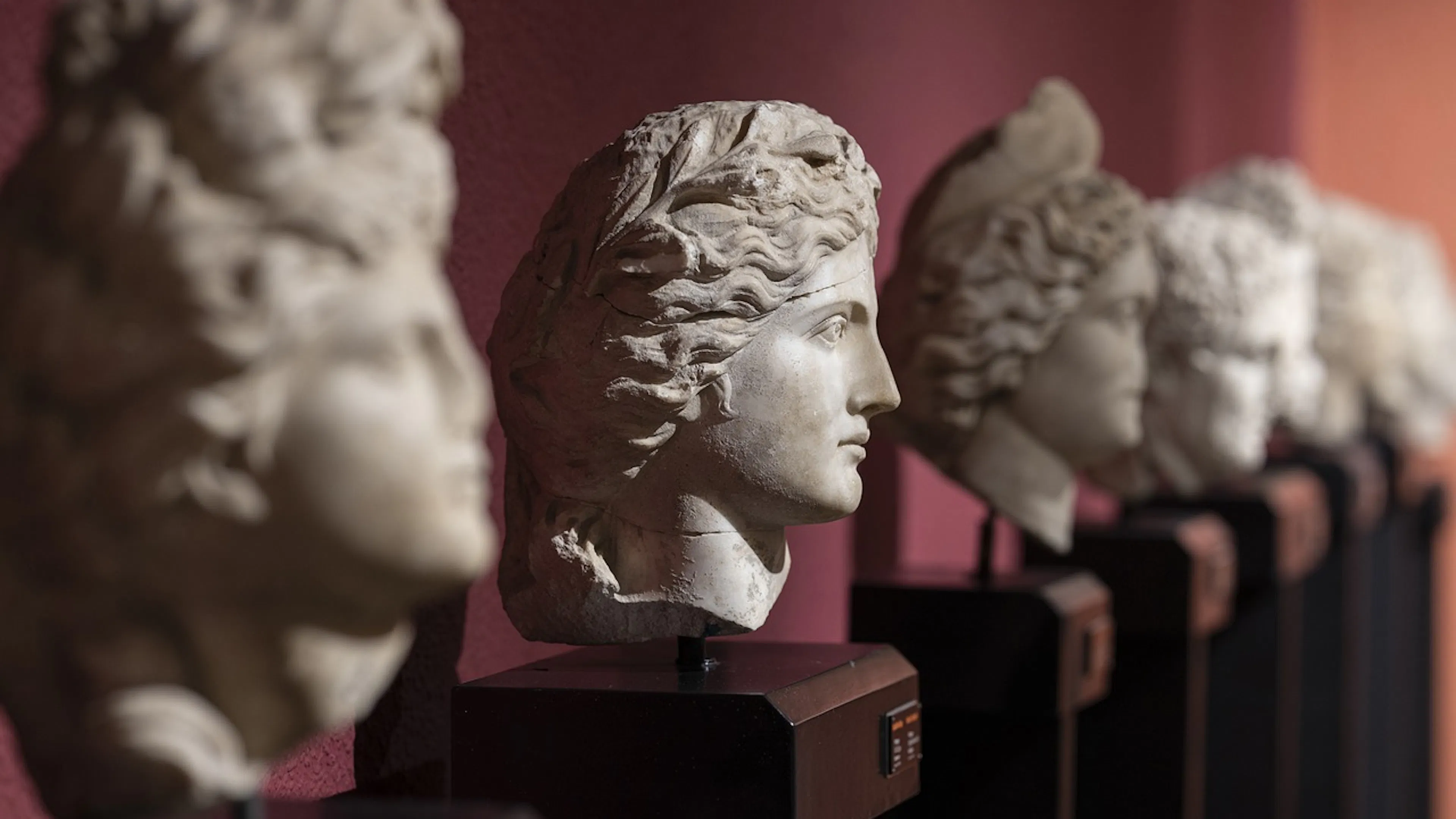A line of stone busts of Grecian statues in a row in front of a maroon wall