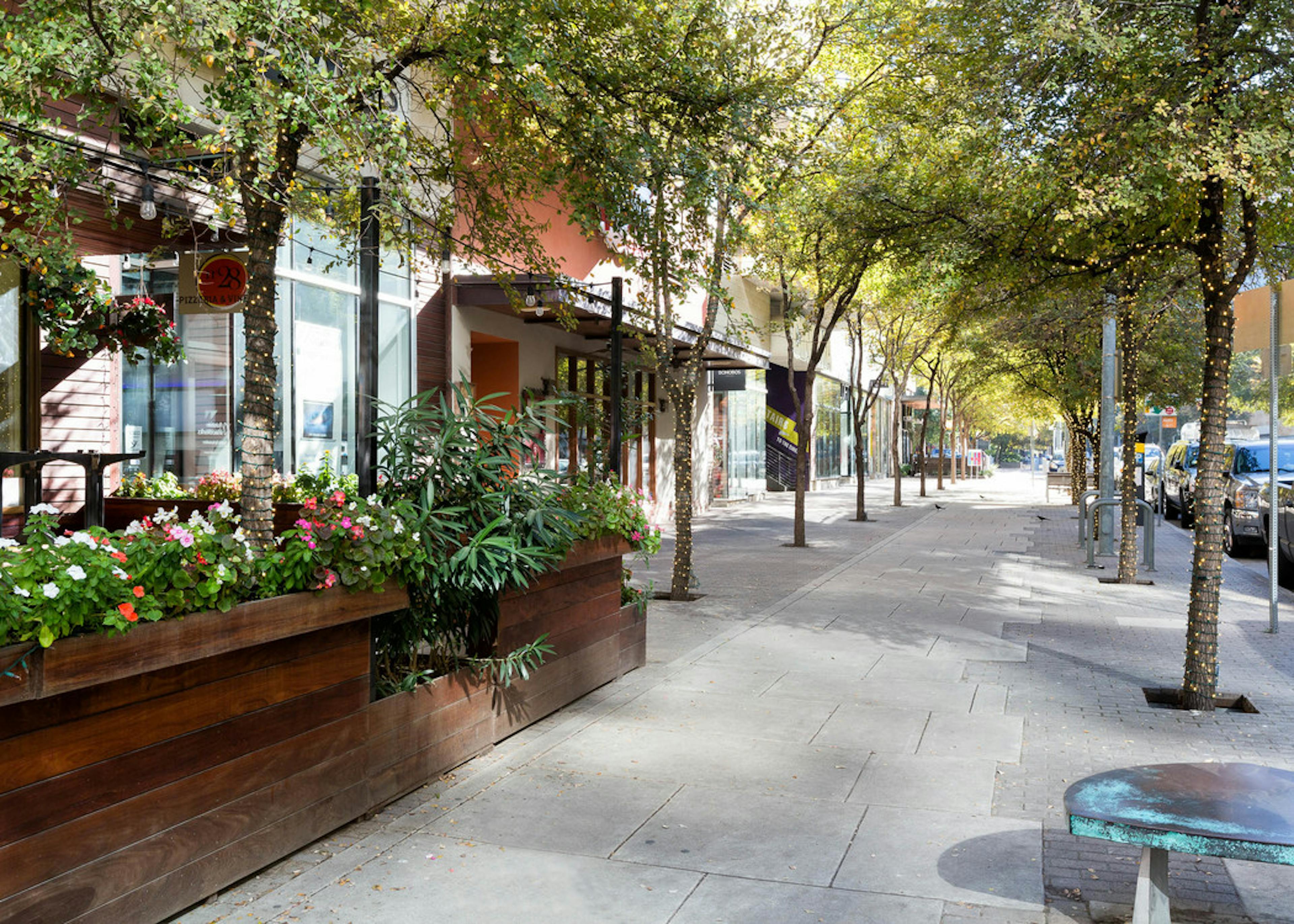 Exterior daytime view of 2nd street district storefronts with sidewalk lined with vibrant trees and raised potted flowers