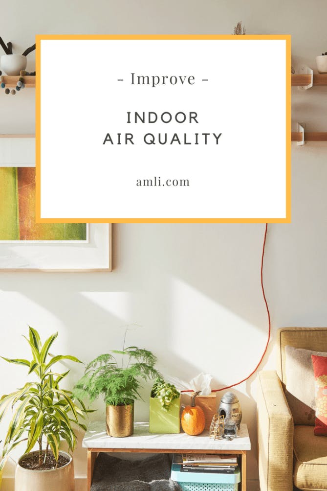 improve indoor air quality