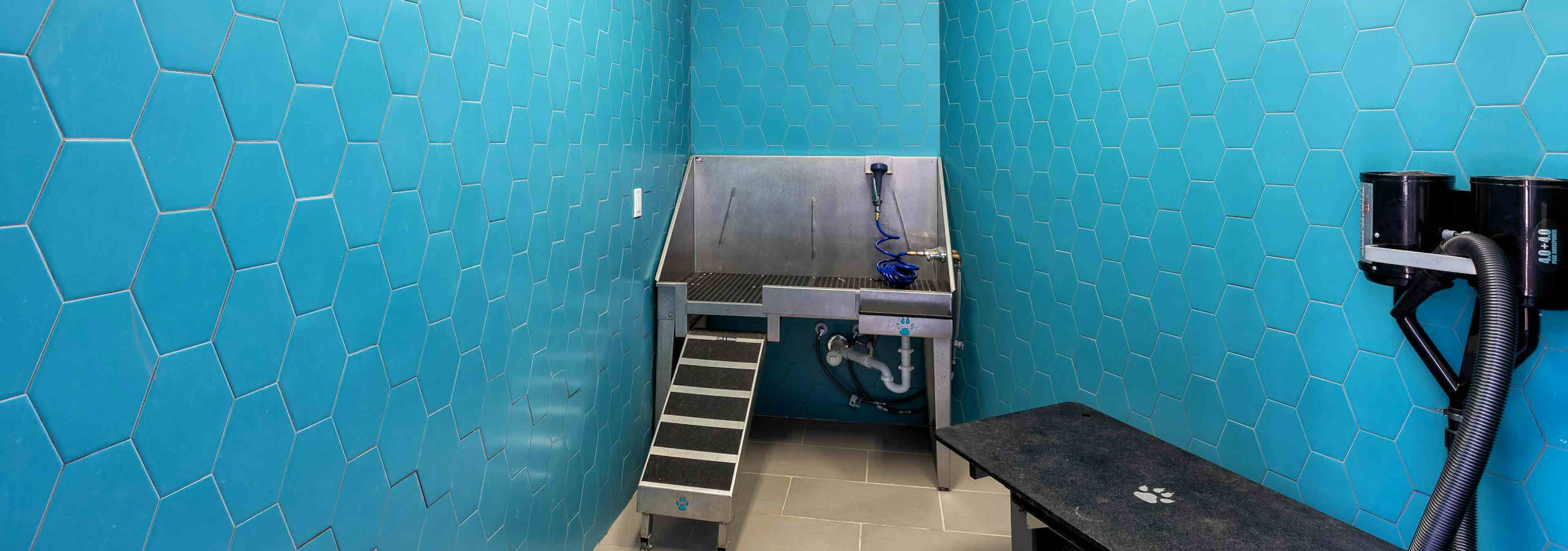 Paw wash at AMLI on Aldrich with bright blue walls and a deep stainless steel pet sink with drying table and light flooring