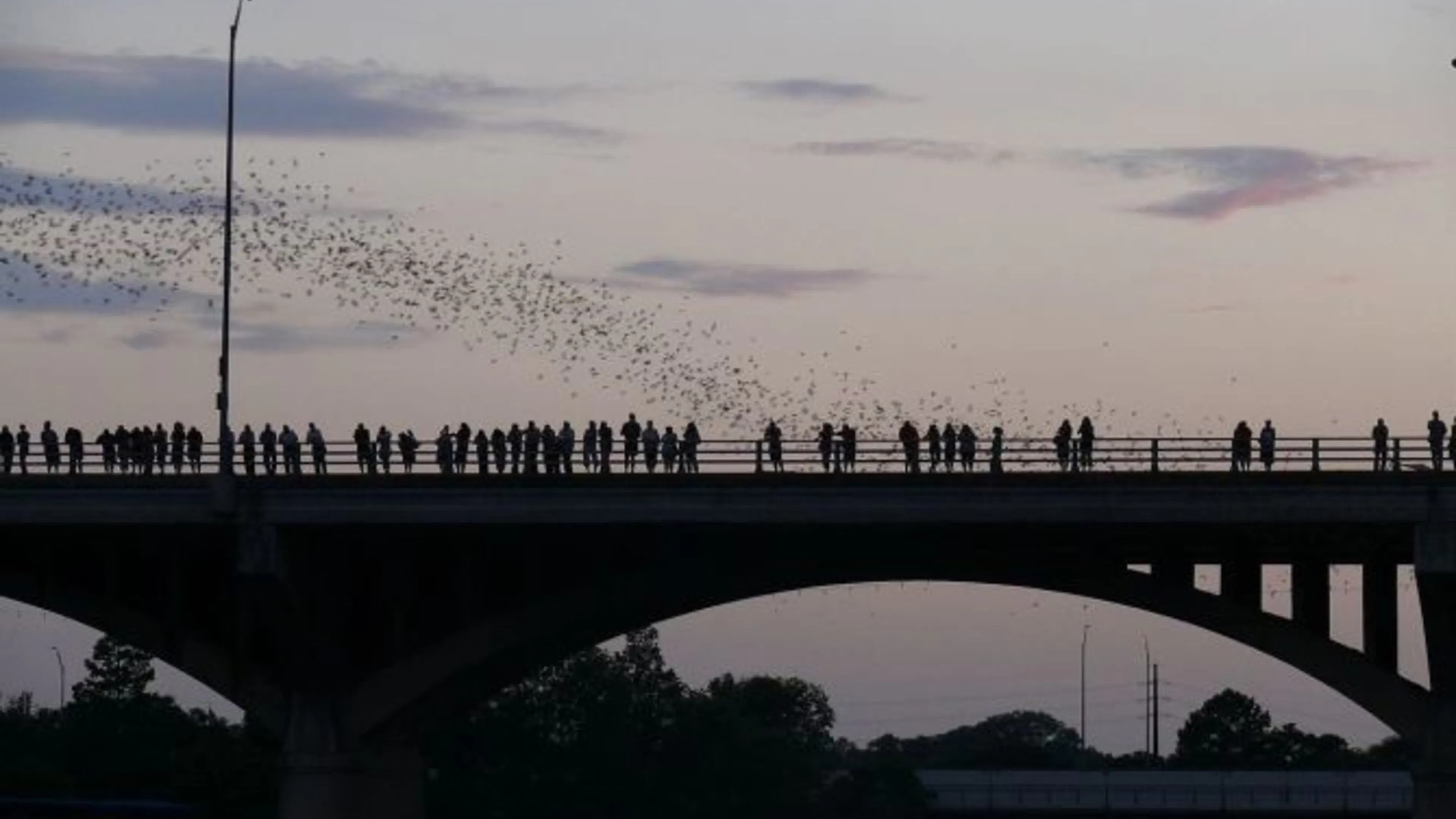Watch the bats!