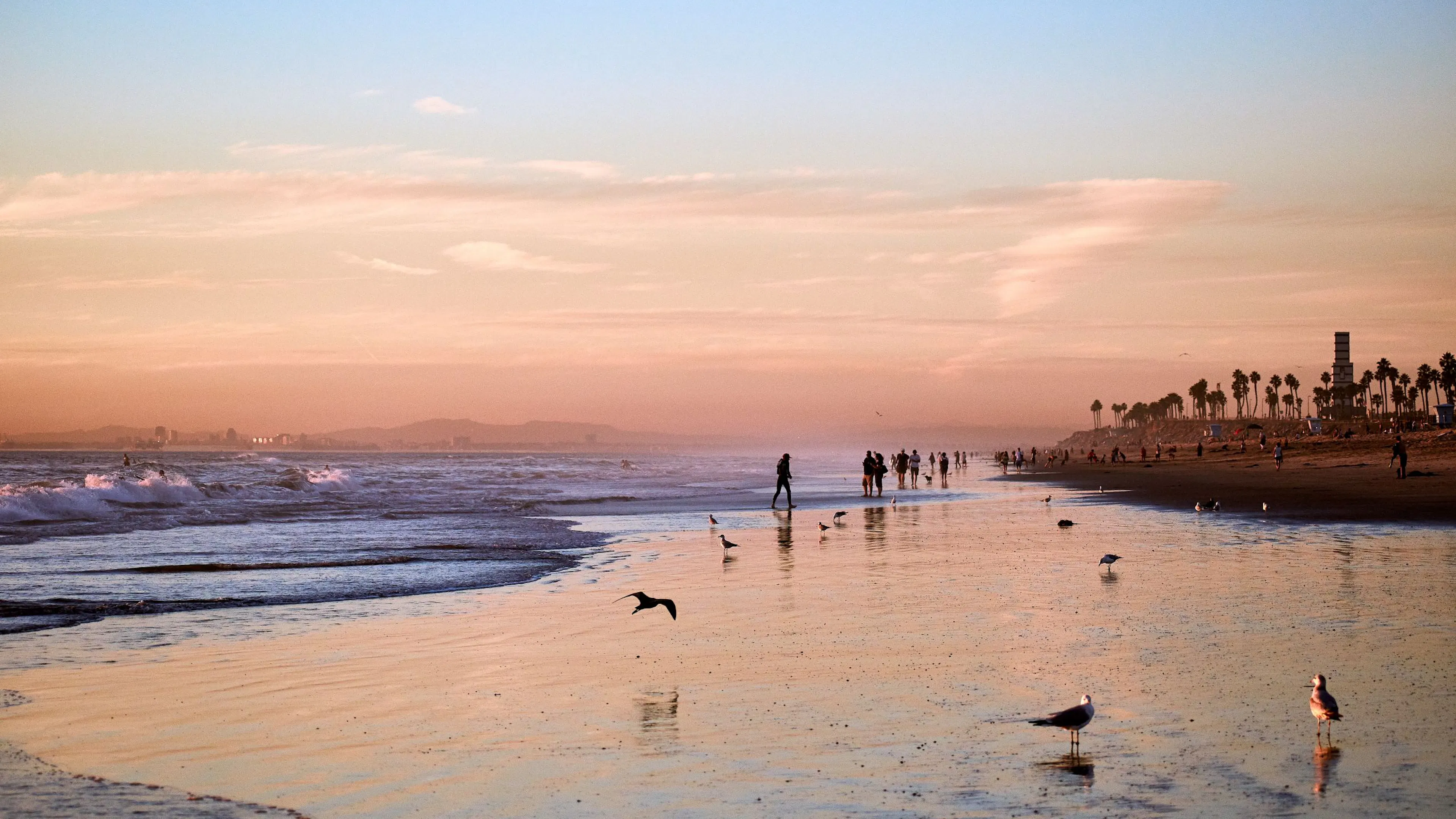 A San Diego beach at sunset with birds and people walking through the sand