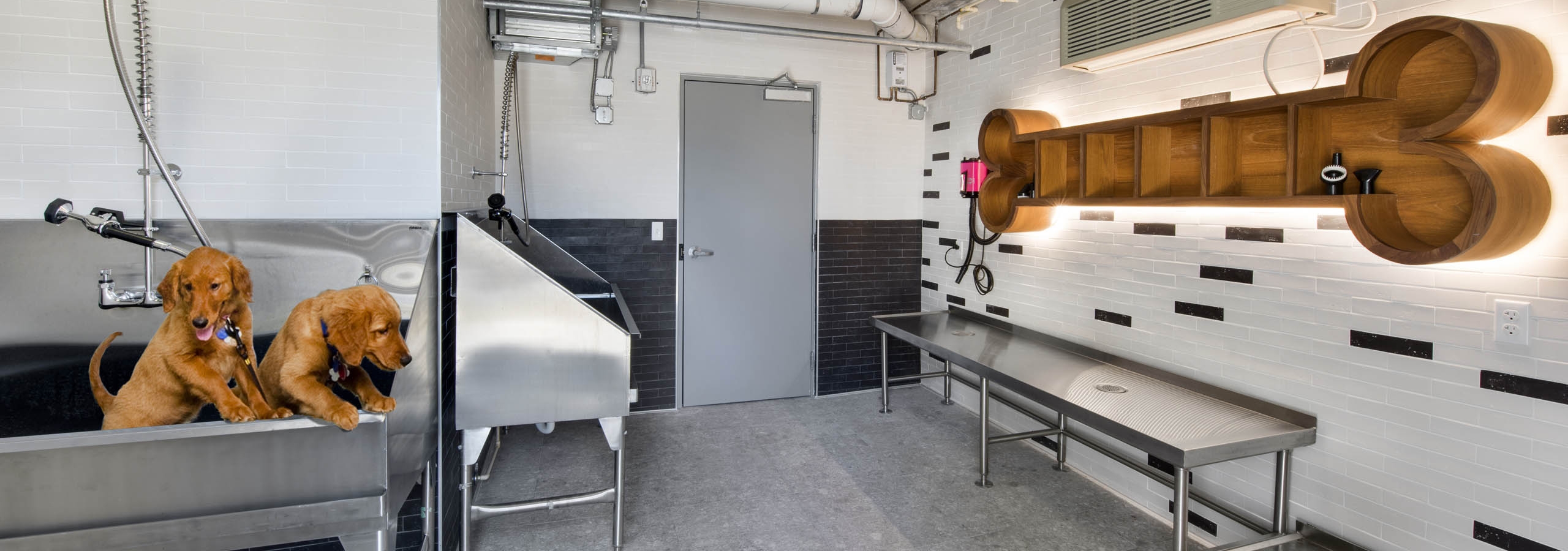 Dog spa at AMLI Midtown 29 with golden retrievers in stainless steel tubs and a wooden bone-shaped shelf on a tile wall