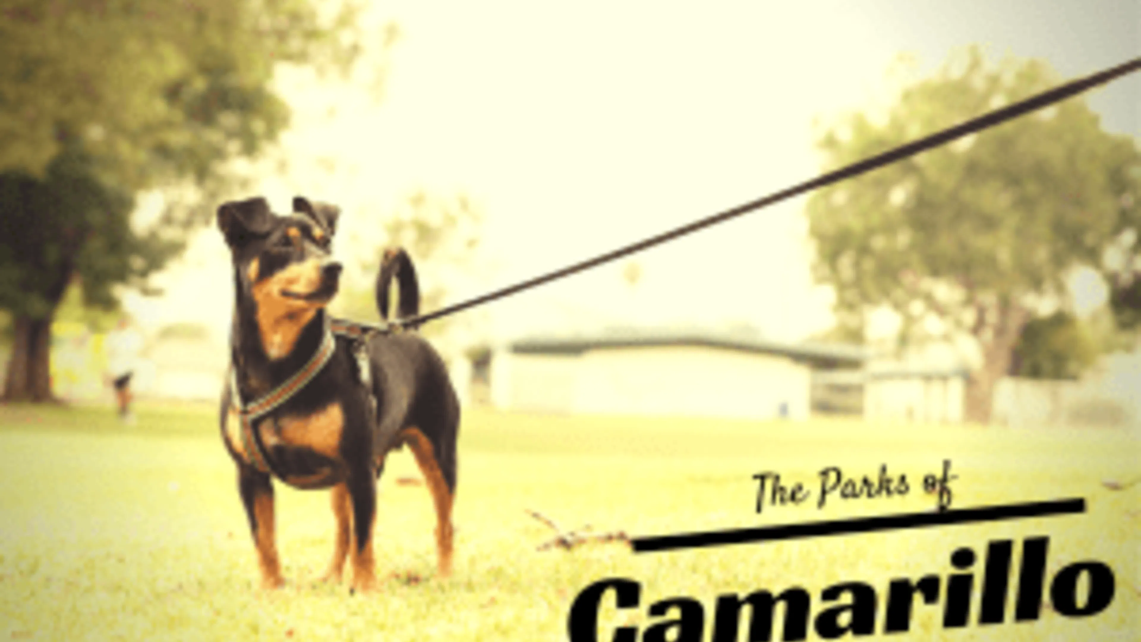 The Parks of Camarillo