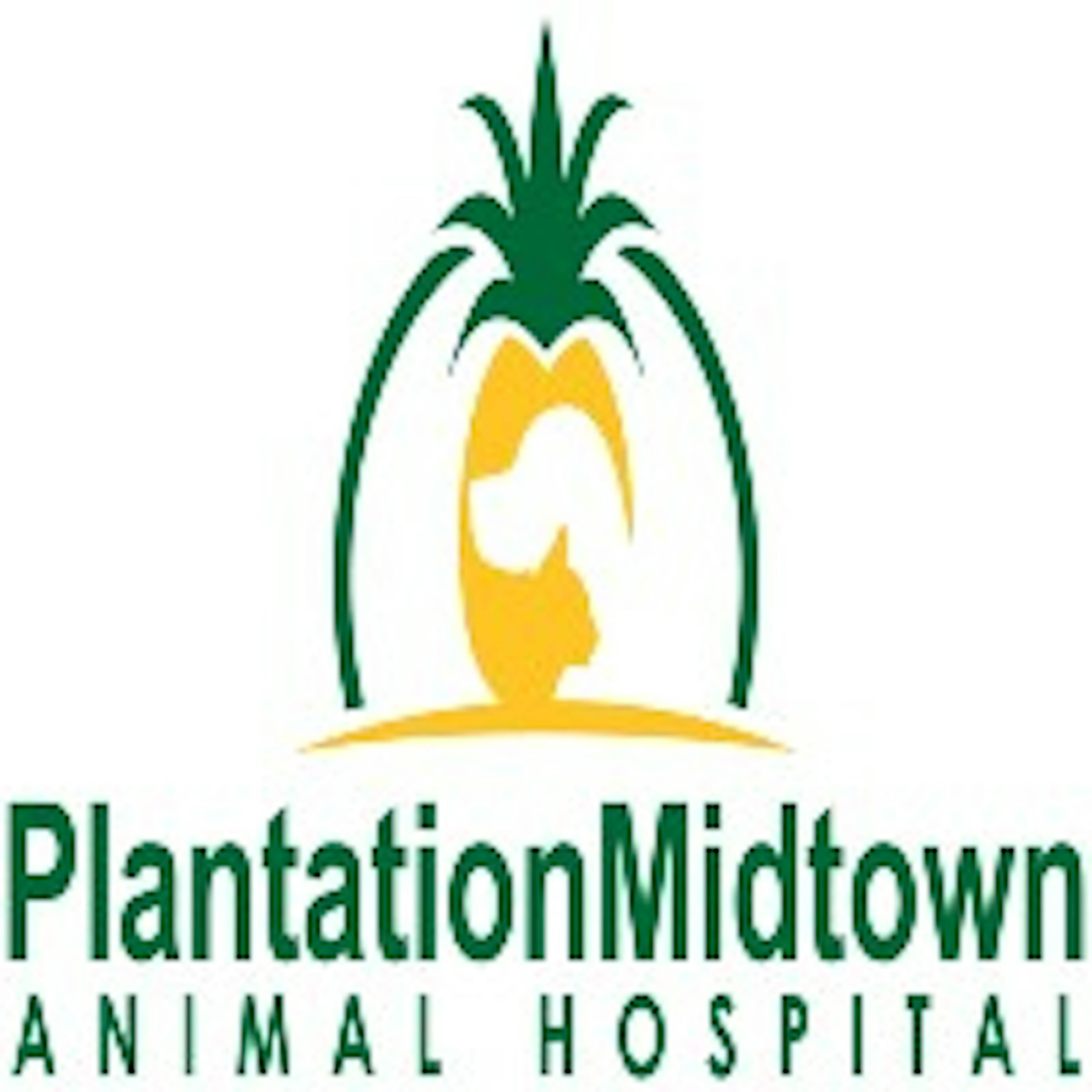 Planation Midtown Animal Hospital