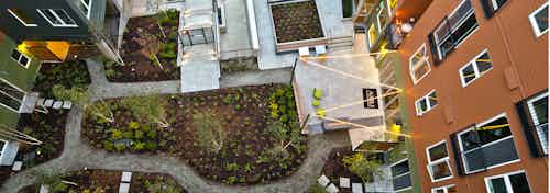 Overhead aerial view of the landscaped courtyard at AMLI Mark24 with winding paved paths that trace among plants and shrubs