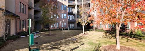 Exterior of paw park at AMLI West Plano with brick building facade in the background and green grass with autumn trees