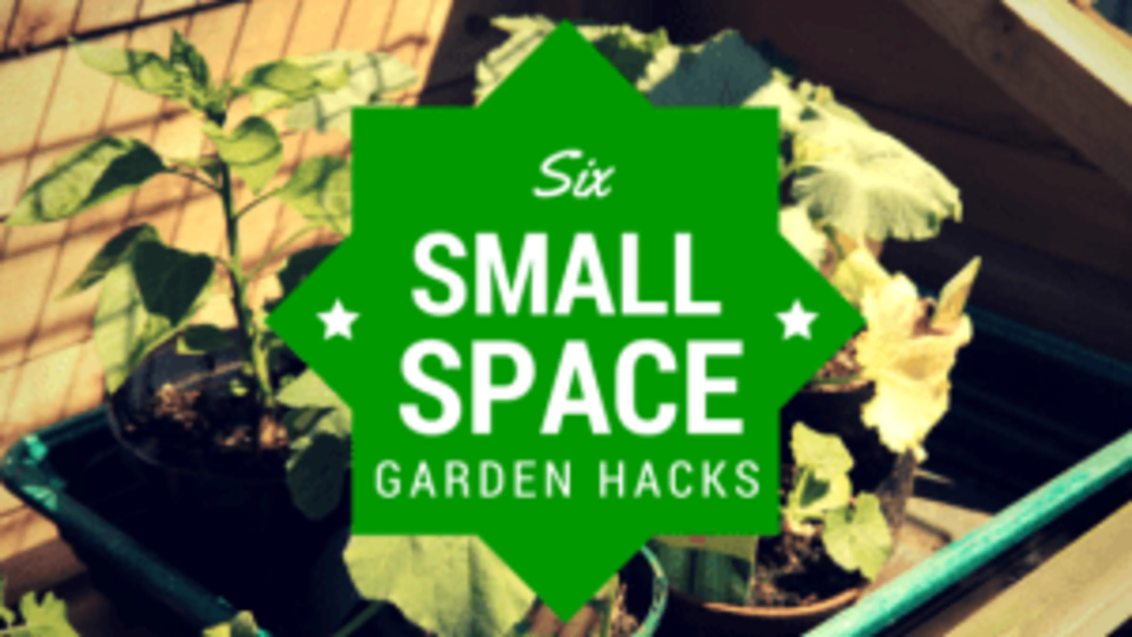 Six Small-Space Garden Hacks