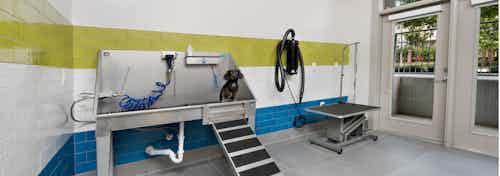 AMLI Buckhead paw wash with colorful tiles on the lower portion of the walls and a deep stainless steel sink with a pet table