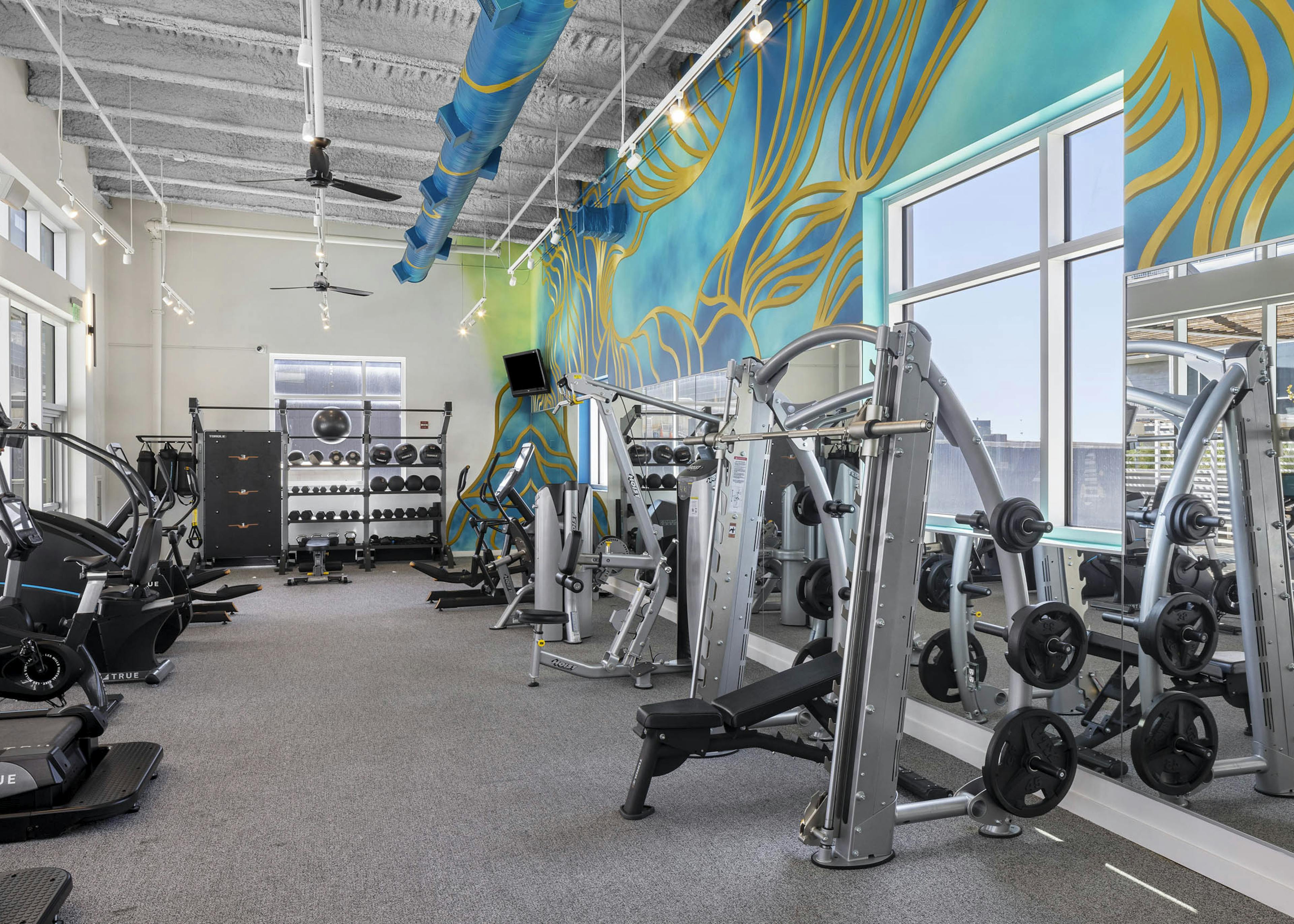 Fitness center with workout equipment and grey carpet with blue and yellow mural above mirrored wall at AMLI on2nd 
