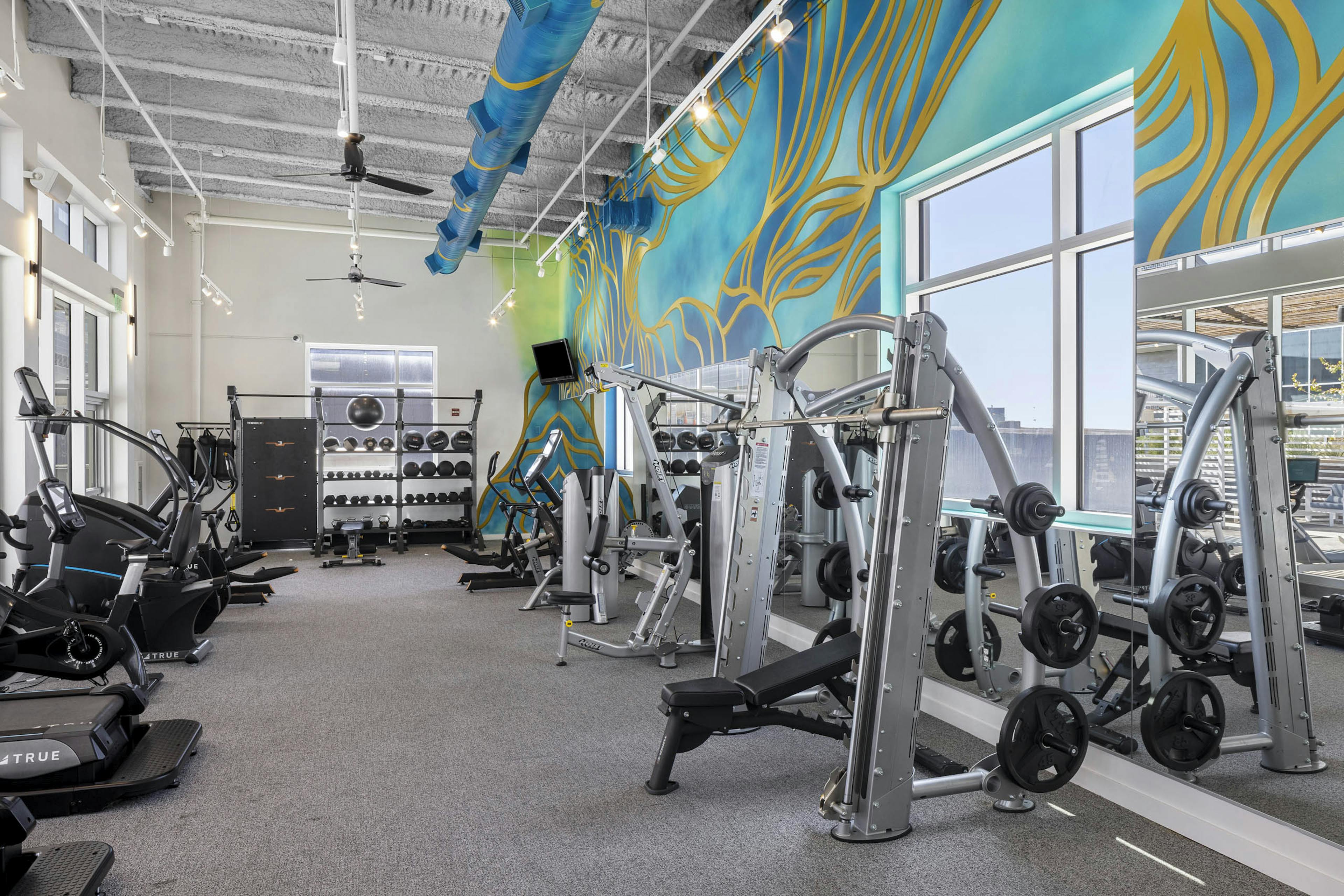 Fitness center with workout equipment and grey carpet with blue and yellow mural above mirrored wall at AMLI on2nd 