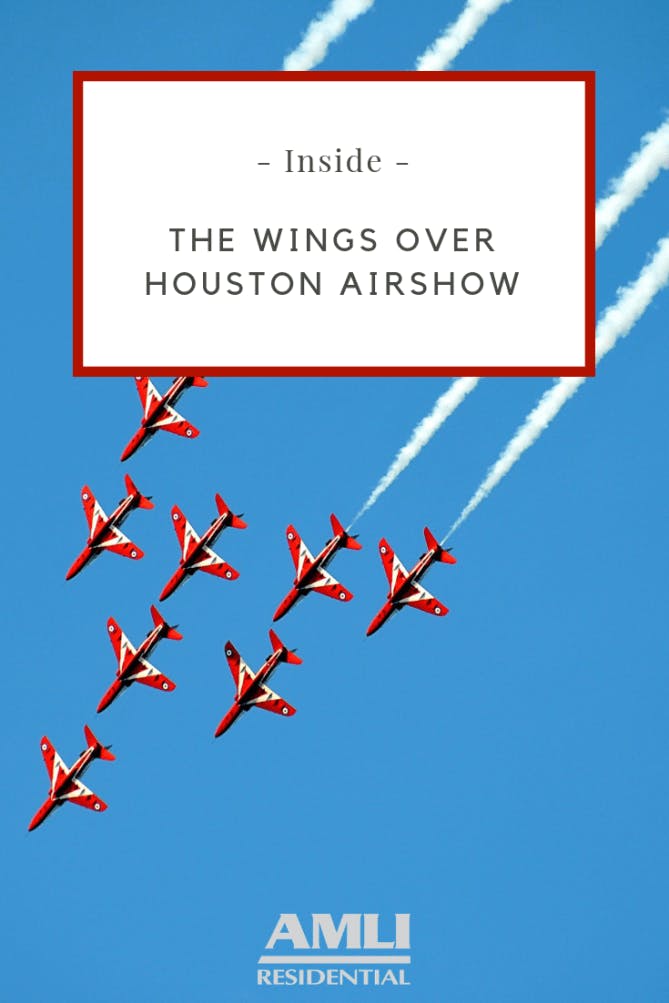 wings over Houston airshow