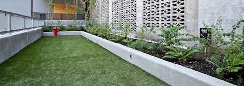 AMLI South Lake Union outdoor pet run with red fire hydrant and lush landscape and fencing