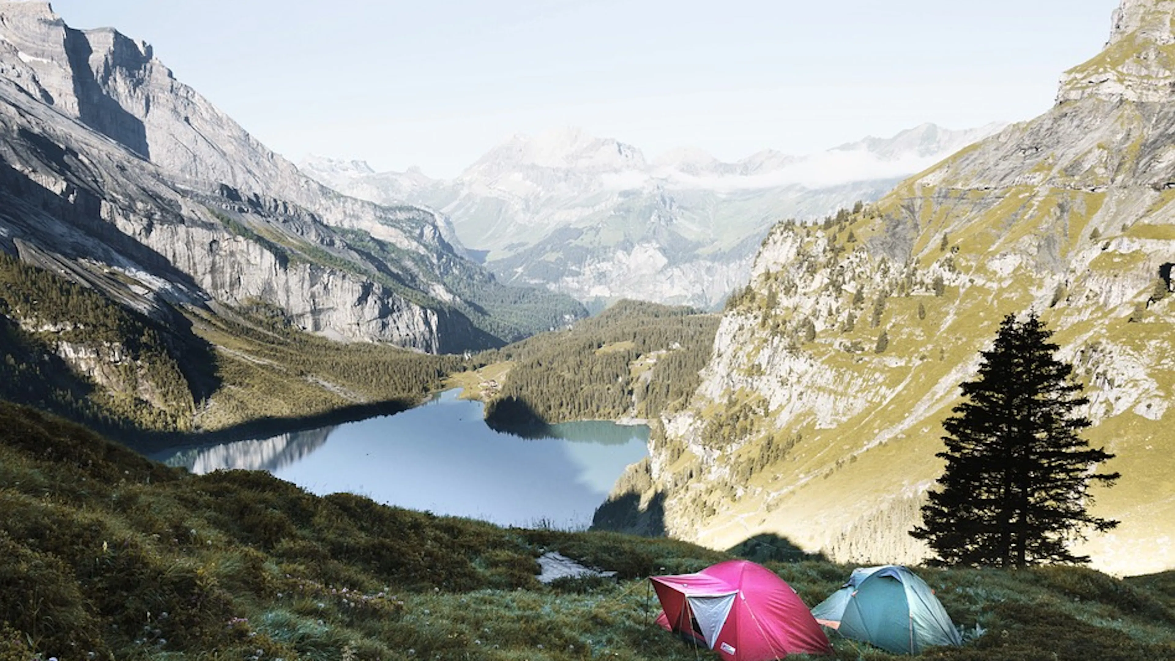 Two camping tents in a shady field overlooking a deep mountain valley