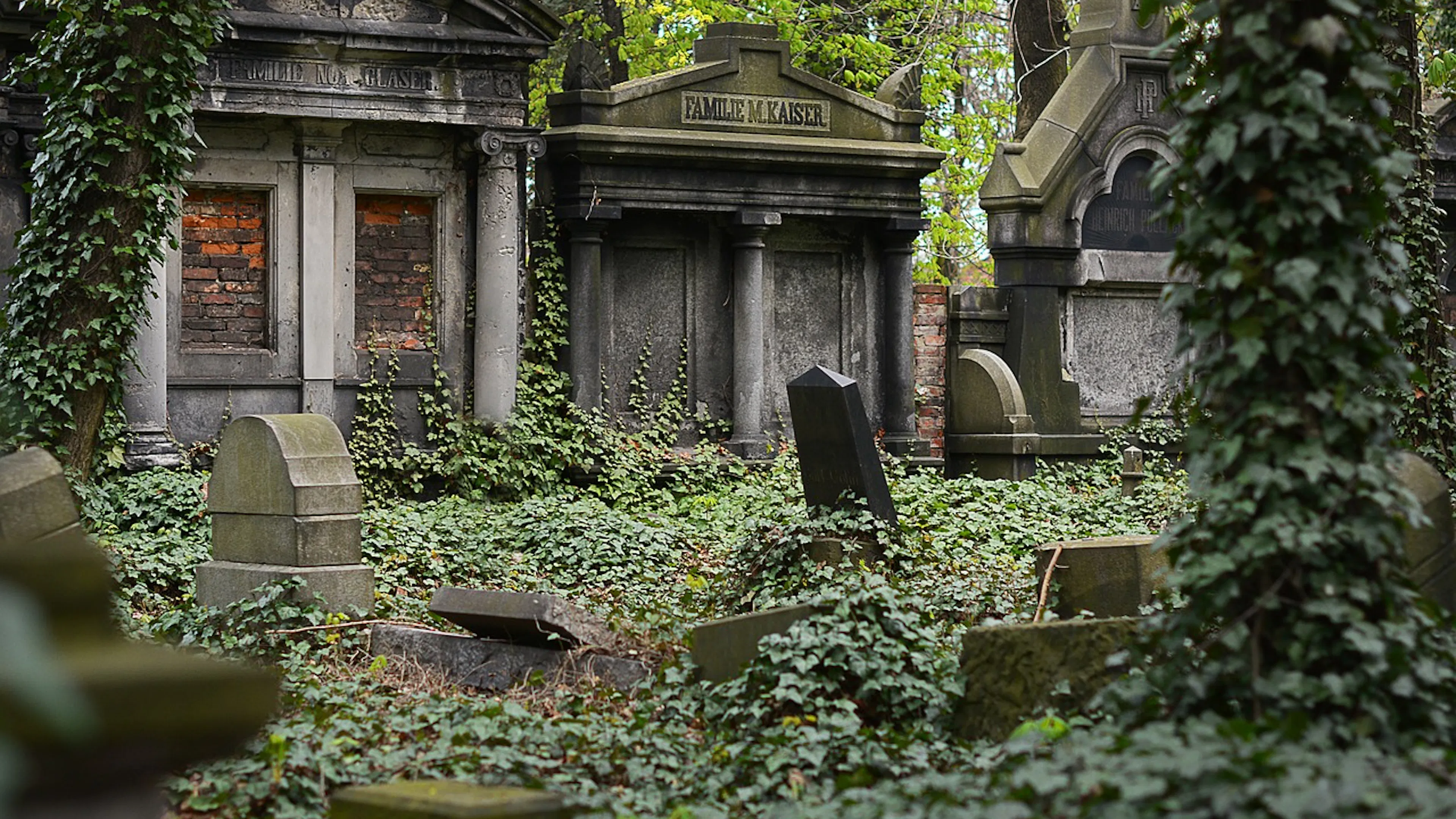 An assortment of old gravestones covered in ivy with some stone mausoleums in the background