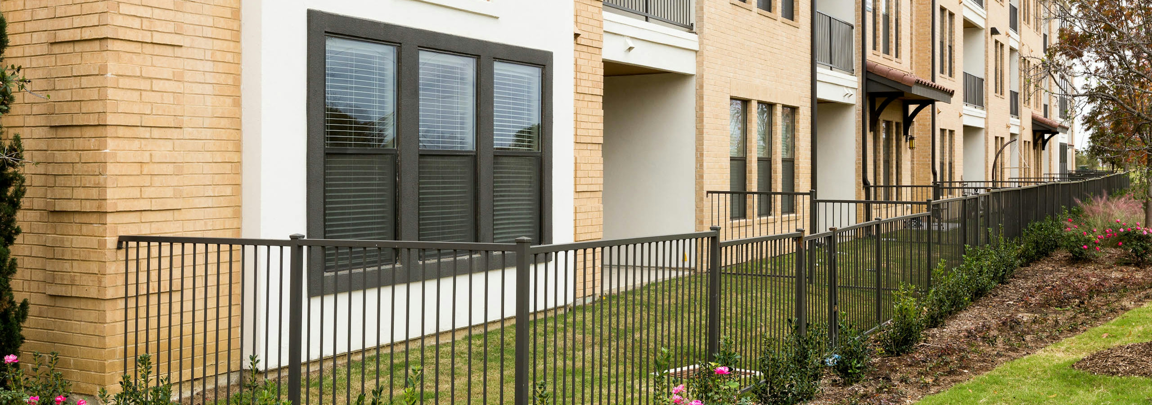 Daytime exterior view of fenced yards with green grass and landscaping outside AMLI Campion Trail apartment building