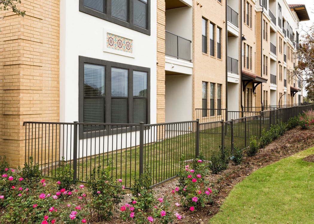 Daytime exterior view of fenced yards with green grass and landscaping outside AMLI Campion Trail apartment building