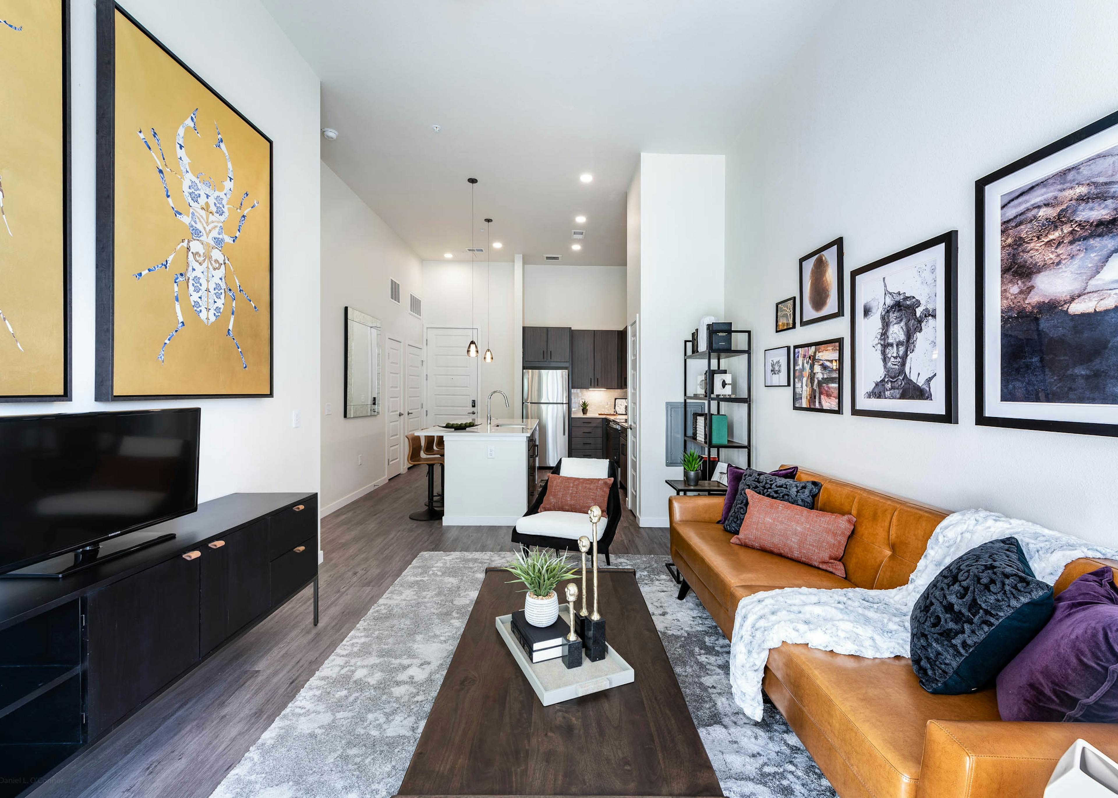 Apartment living room at AMLI Art District with a TV and leather couch and coffee table as well as a bookshelf and artwork