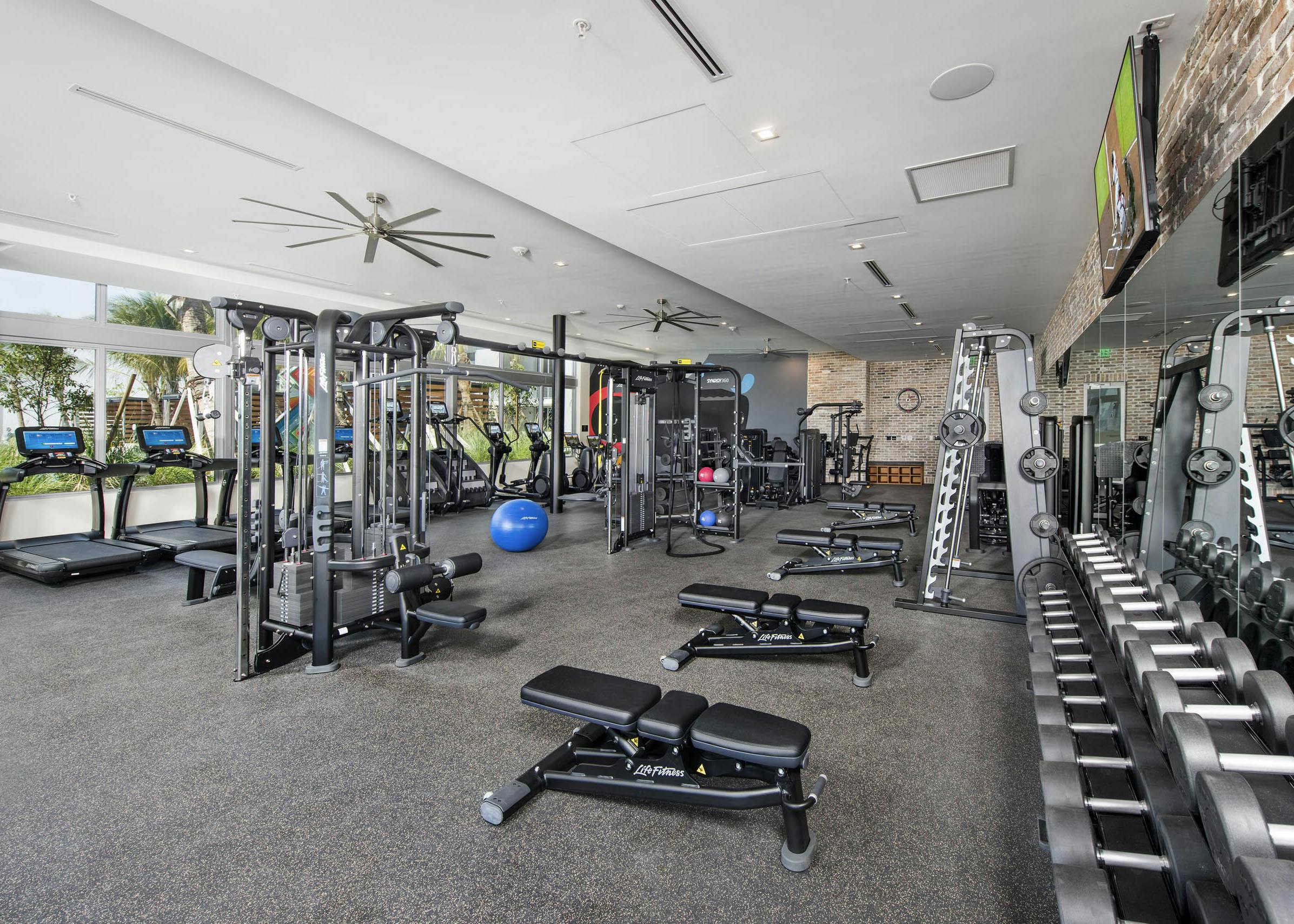 Fitness center at AMLI Midtown 29 apartments with treadmills and benches and weights with mirror wall and overhead TV