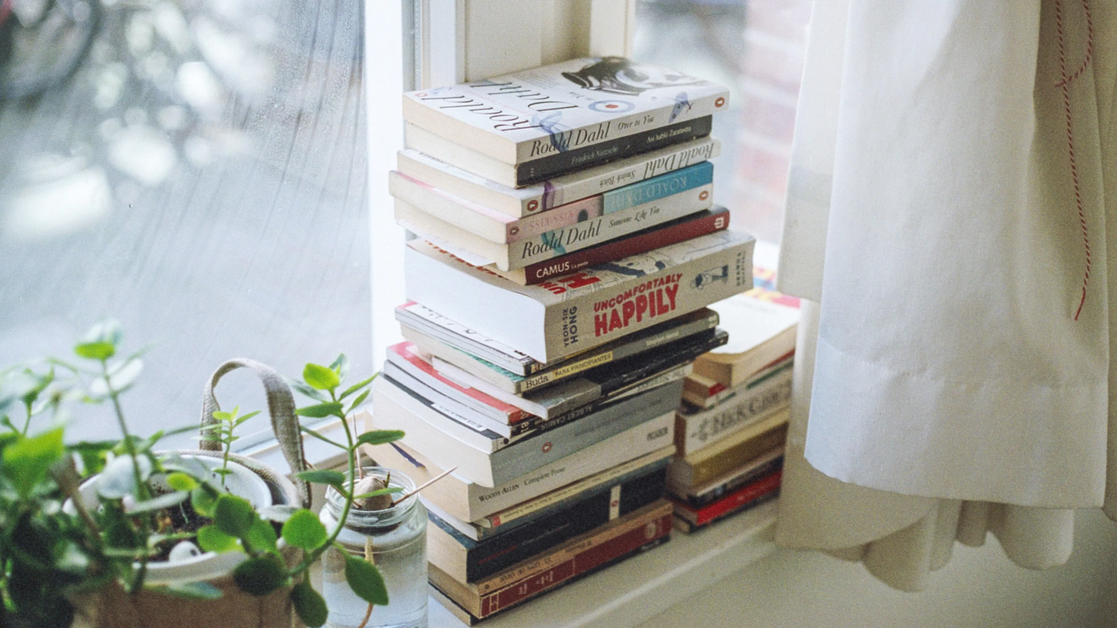 stack of books on a sunny windowsill with a small green plant beside it
