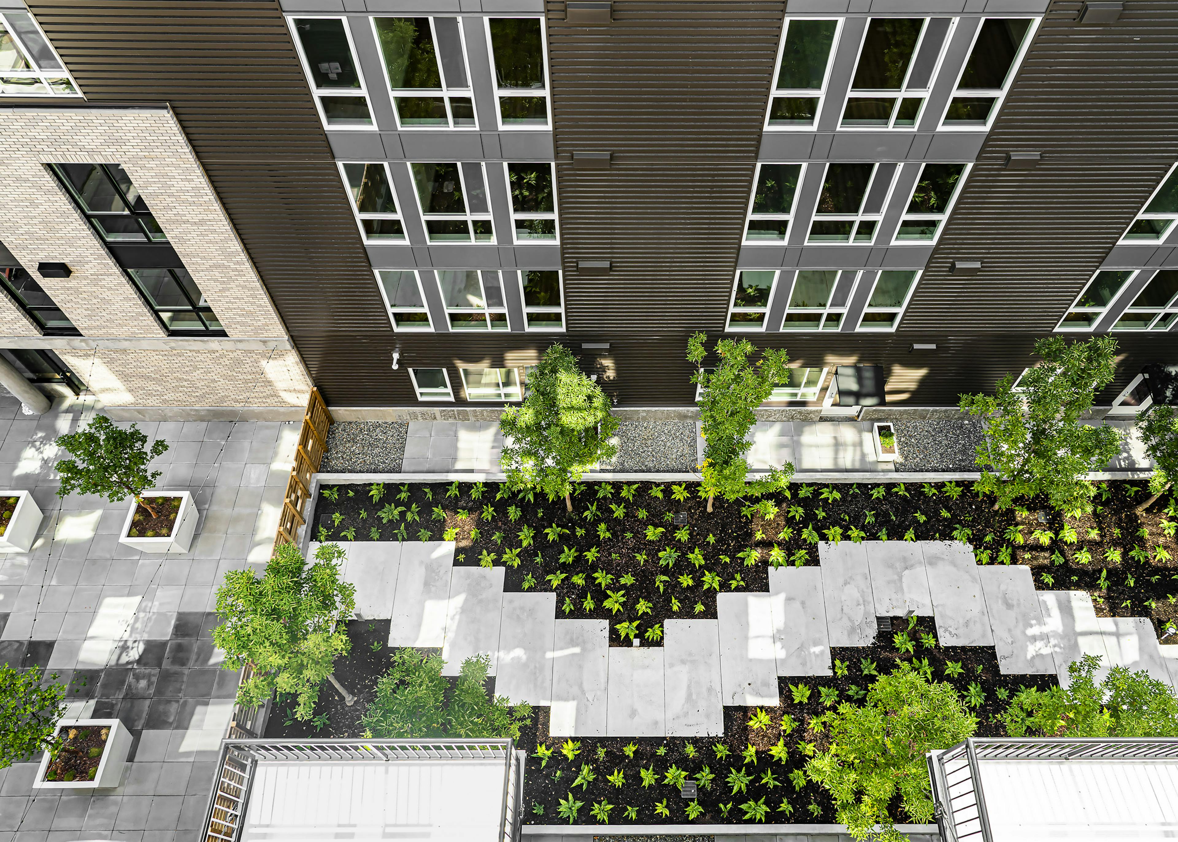 Birds eye view of AMLI Spring District courtyard with green plants and trees and concrete slabs meandering though the middle
