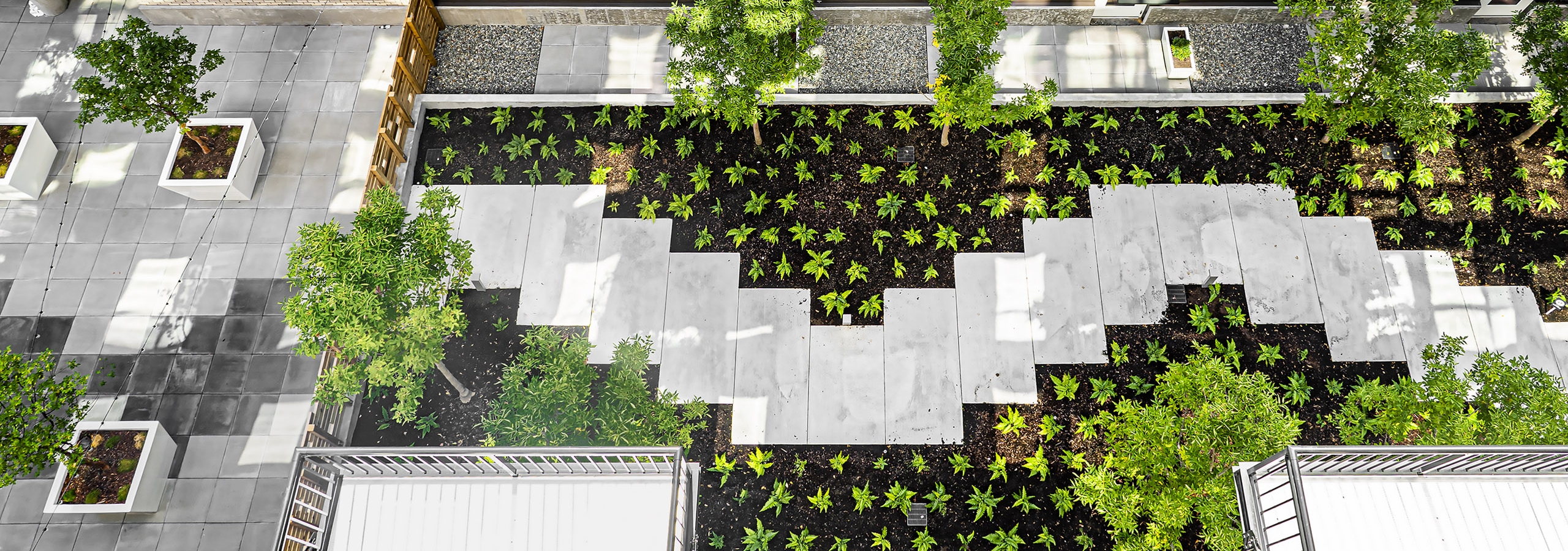 Birds eye view of AMLI Spring District courtyard with green plants and trees and concrete slabs meandering though the middle