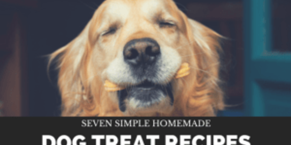 cesar millan dog treat recipe