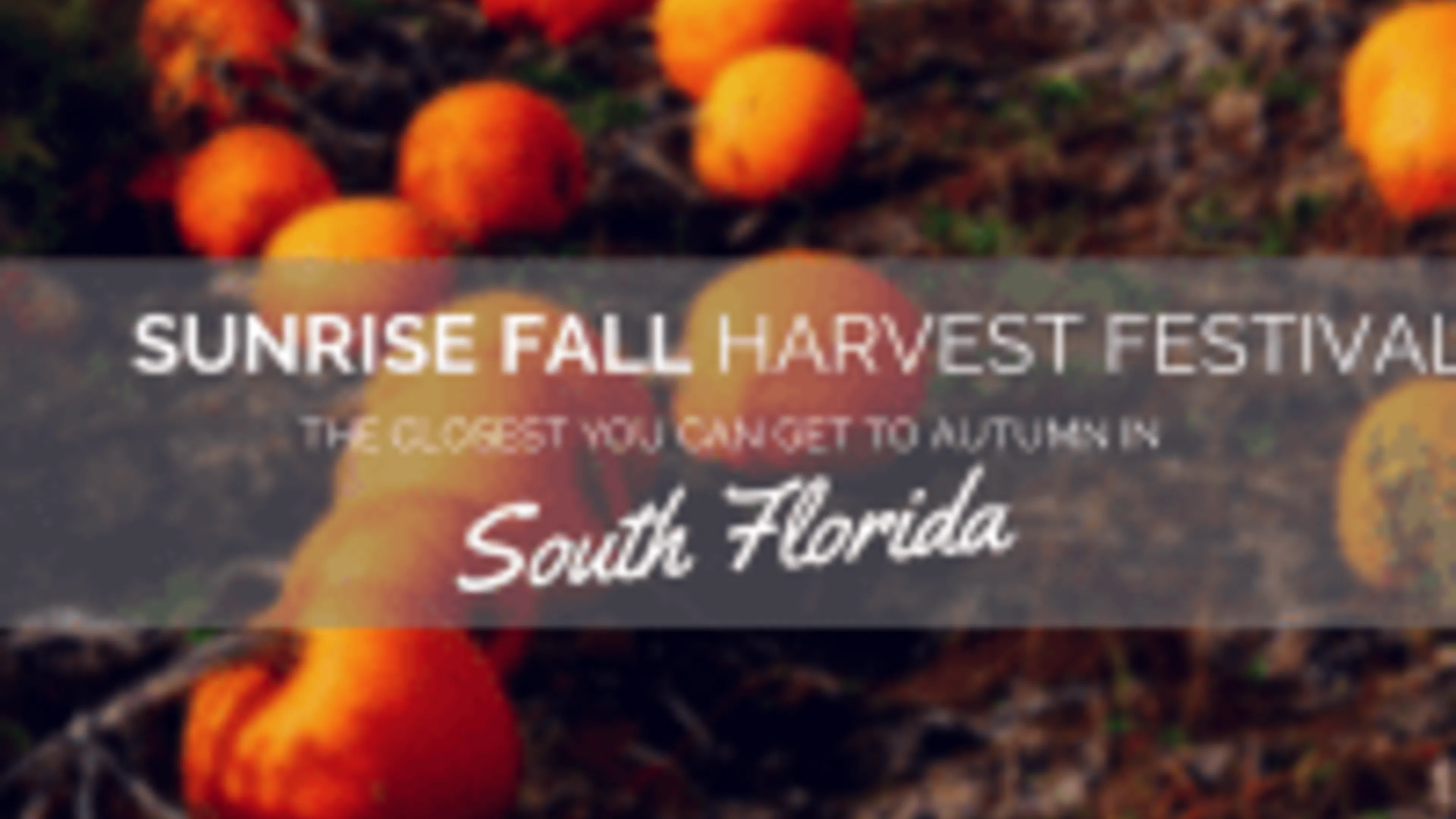 Sunrise Fall Harvest Festival 2014- The Closest You Can Get to Autumn in South Florida