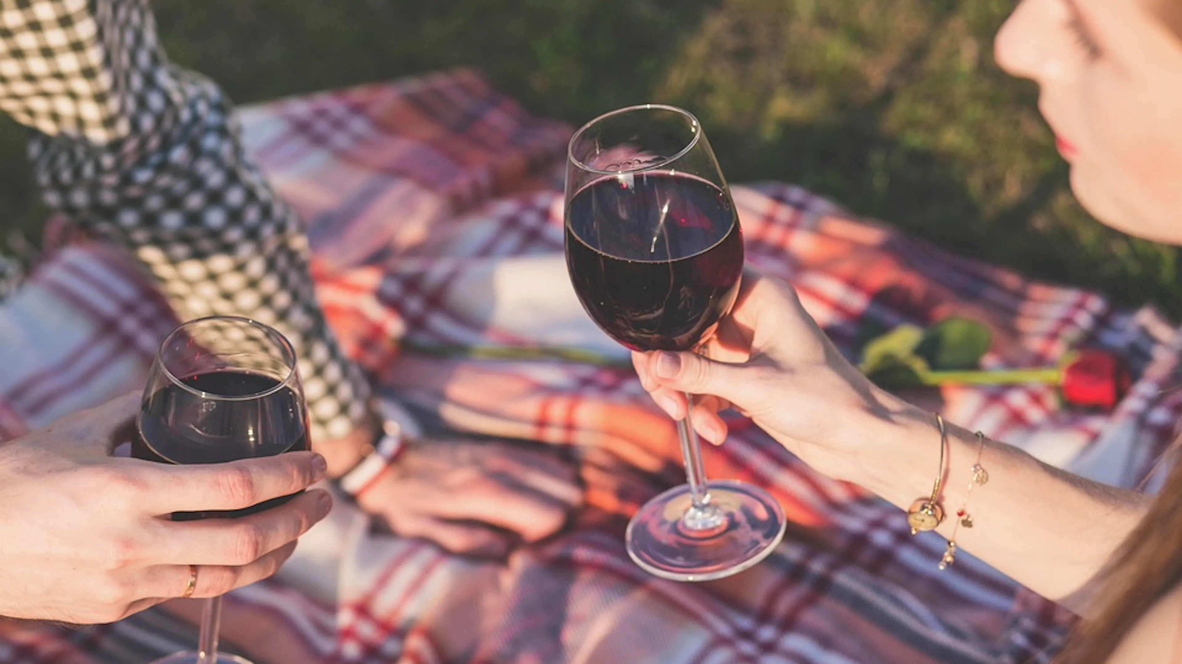 Two people on a checkered picnic blanket raising glasses of red wine to each other