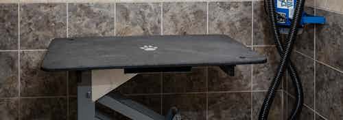 Interior view of the paw washing room at AMLI Arista apartments with a close up of a pet drying platform with drying machine