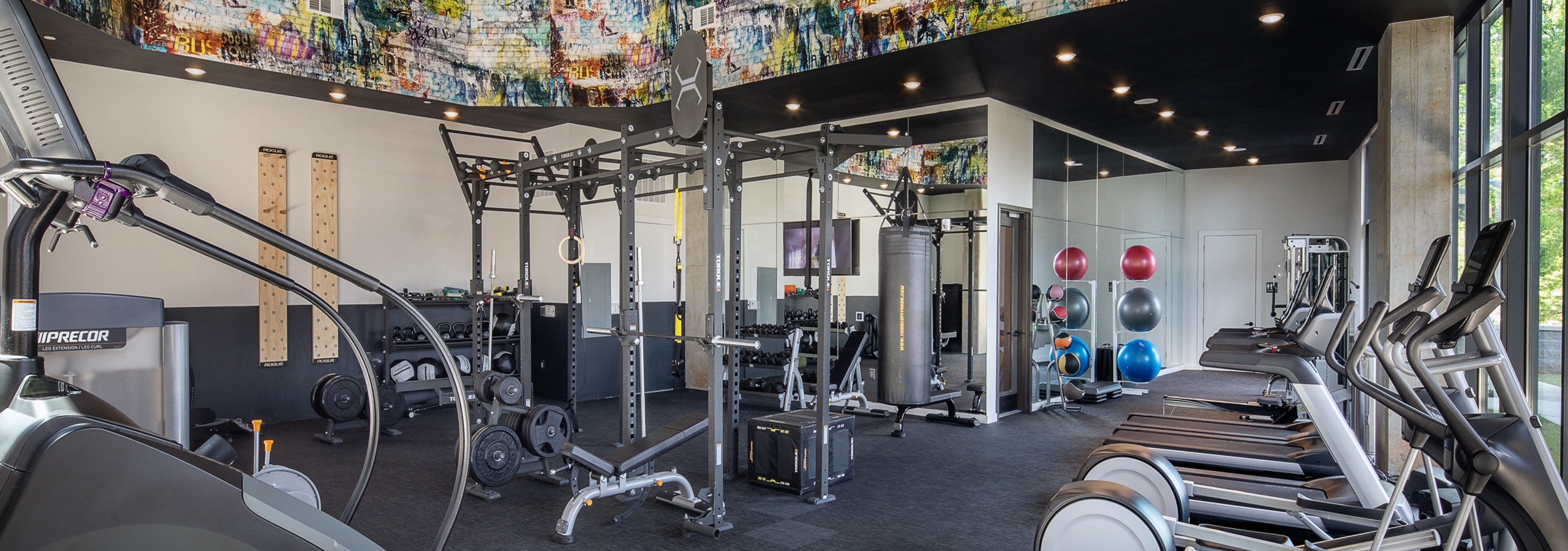 AMLI Westside apartment fitness studio showing various cardio machines with colorful stacked exercise balls in the background