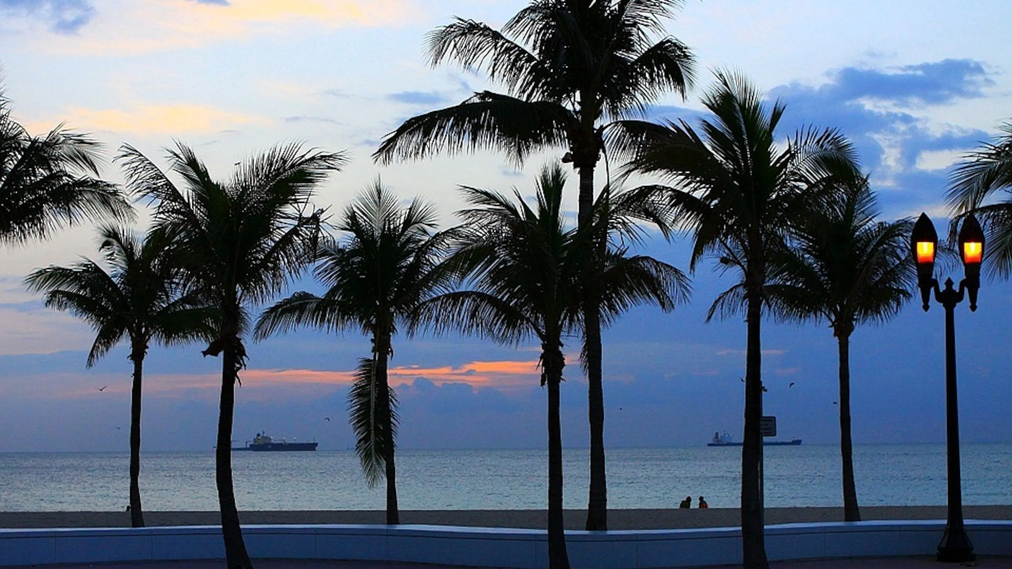A collection of palm trees on the sands of a calm beach at sunset with two ships silhouetted on the far away horizon