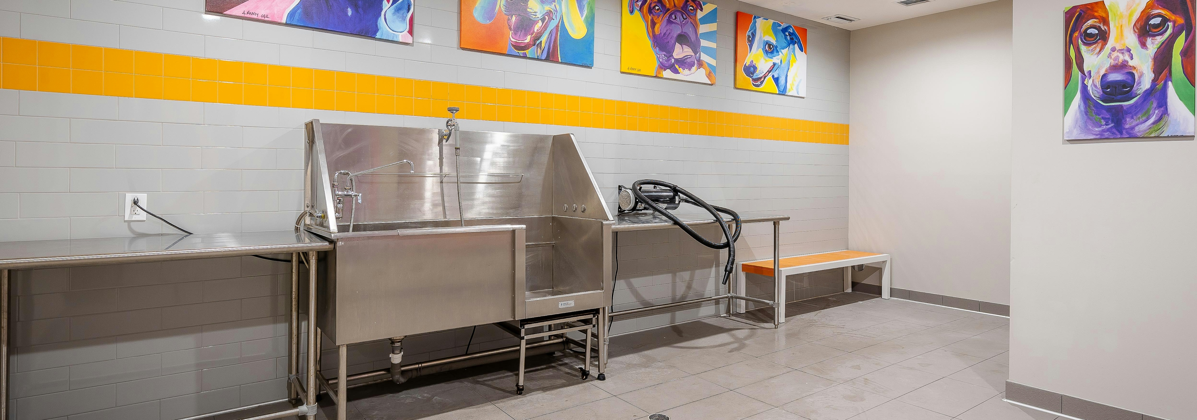 The pet spa at AMLI 8800 apartments with gray tile floors and stainless steel tub with colorful pop artwork of dogs