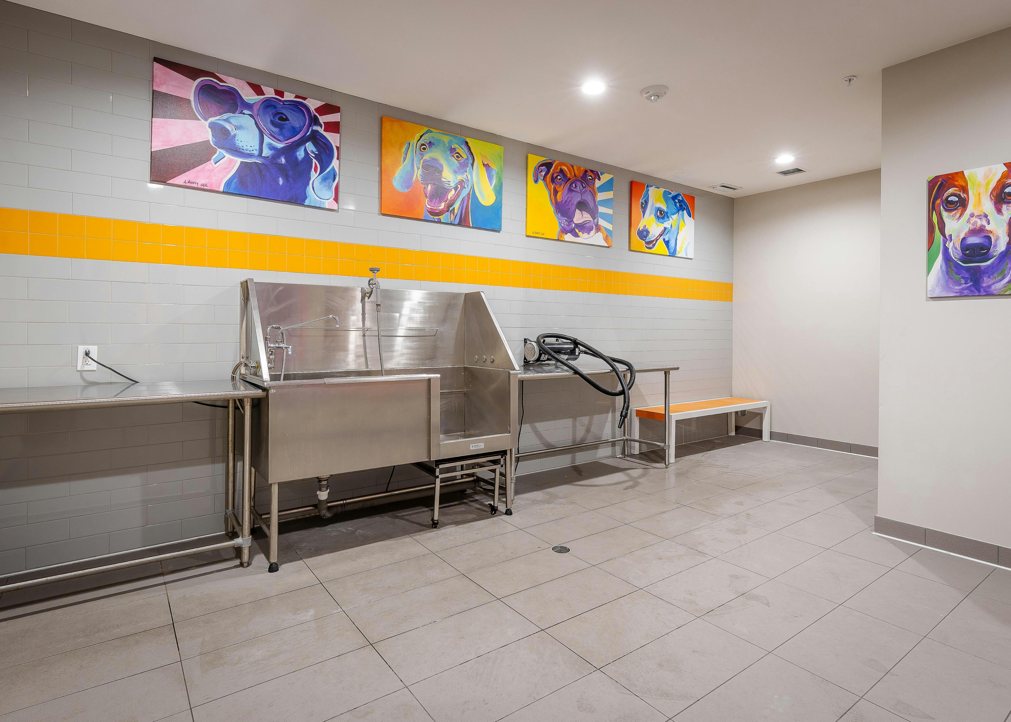 The pet spa at AMLI 8800 apartments with gray tile floors and stainless steel tub with colorful pop artwork of dogs 