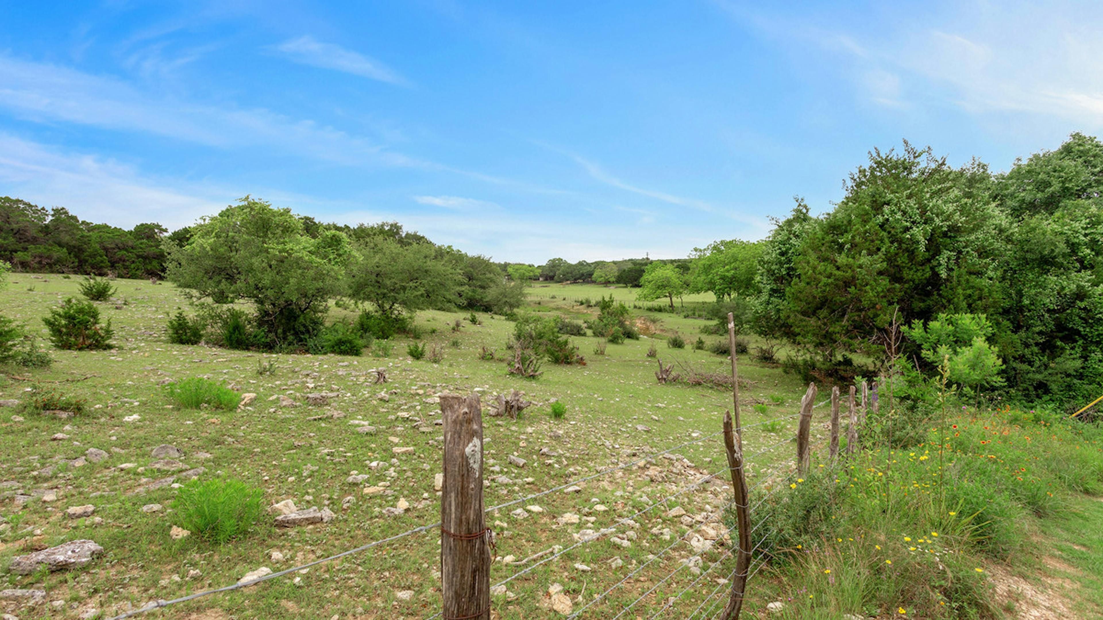 Lush Oak Hill hill countryside during the day with yellow wildflowers and a wooden fence with metal wiring