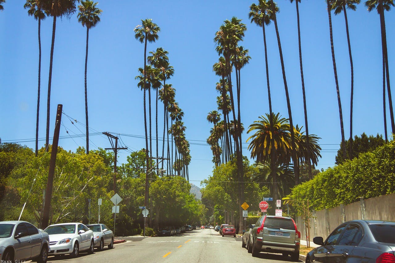 Tall skinny palm trees on either side of a small, sunny road in Beverly Hills.