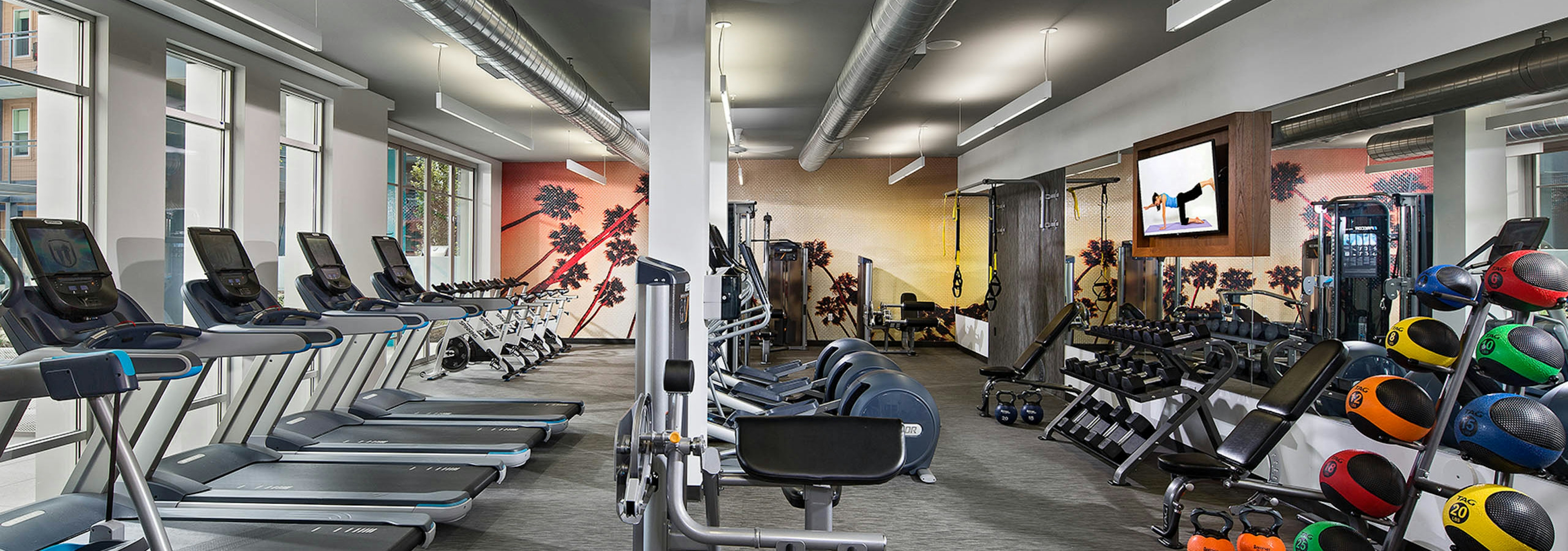 Interior of fitness center at AMLI Uptown Orange apartments with cardio machines and free weights and medicine balls and TV