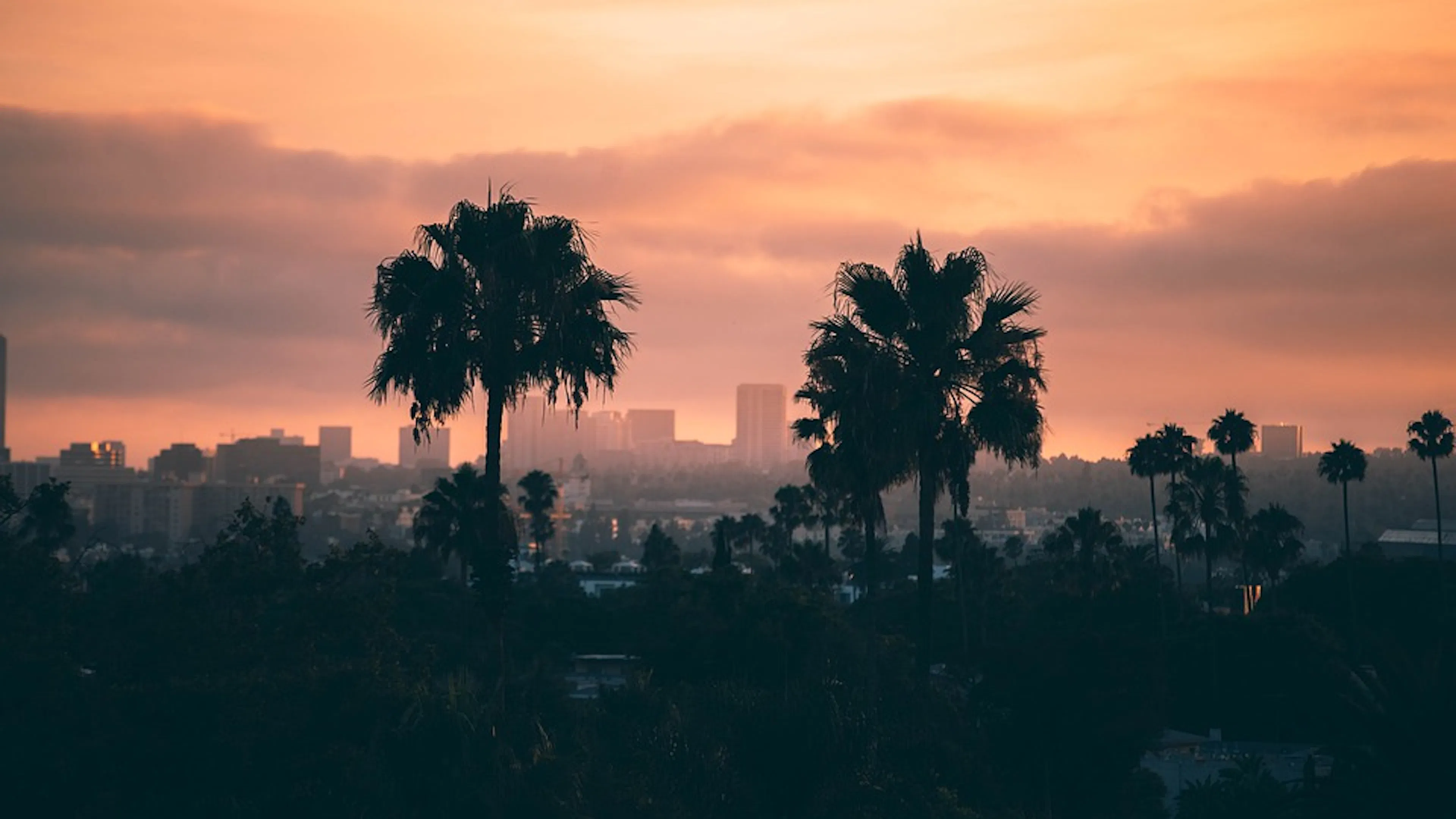 The silhouettes of two palm trees against a sunset sky with the skyline of Los Angeles in the background