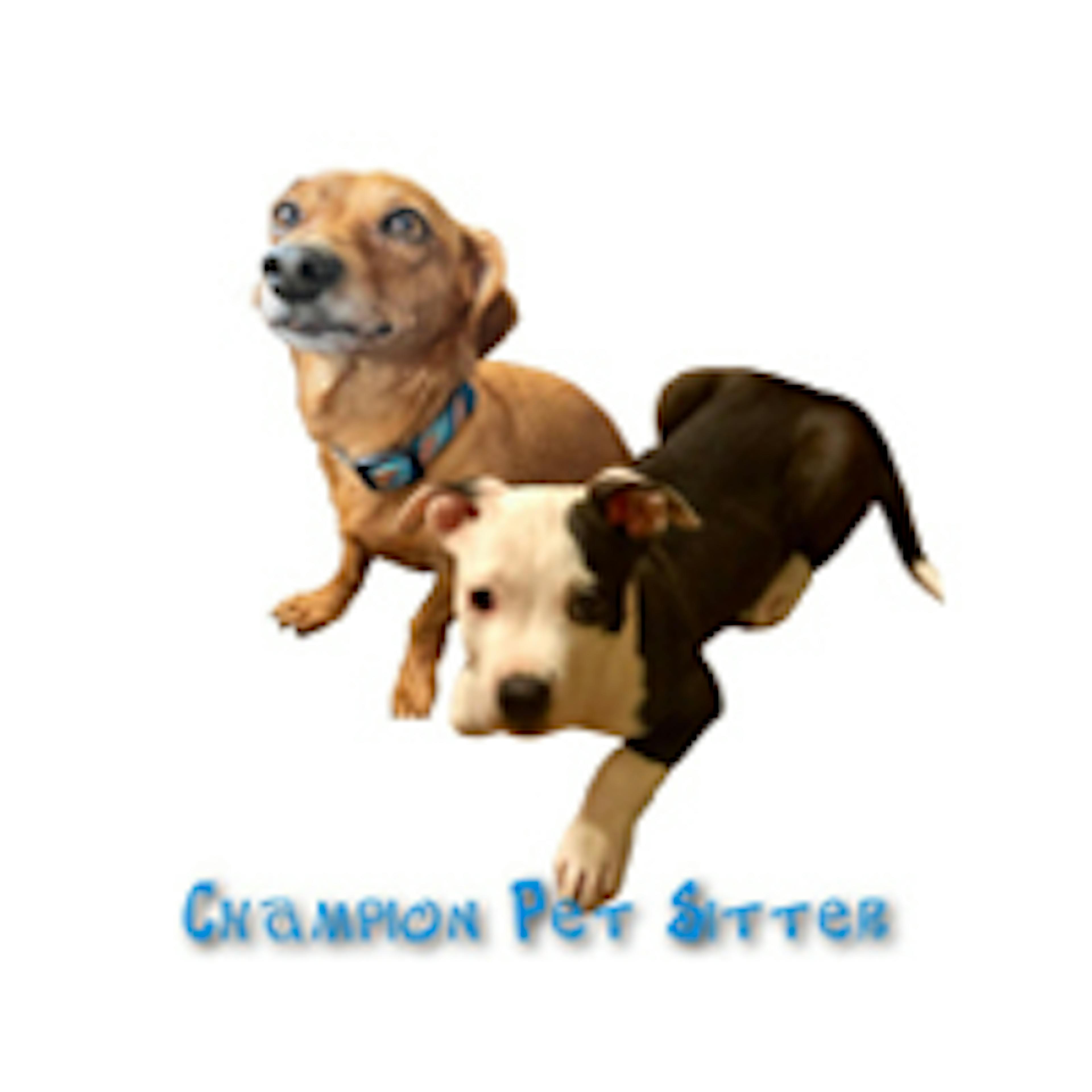 Champion Pet Service