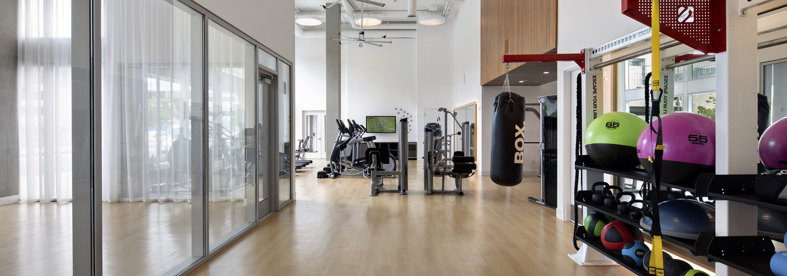 AMLI Park Broadway apartments fitness center with punching bag and TRX system and colorful exercise and medicine ball rack