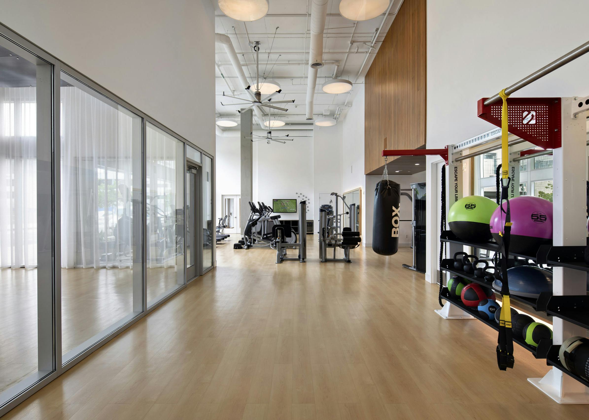 AMLI Park Broadway apartments fitness center with punching bag and TRX system and colorful exercise and medicine ball rack