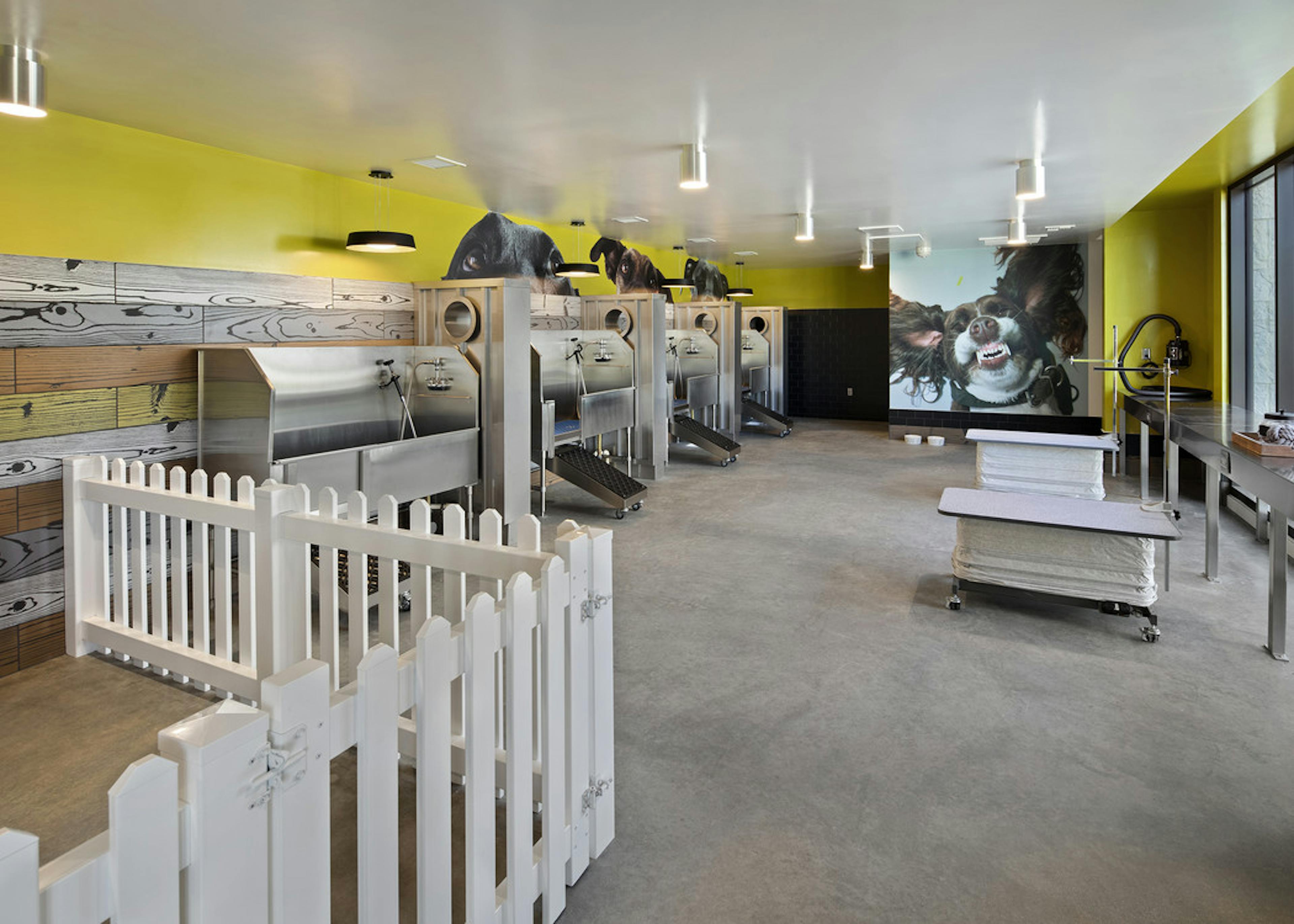 AMLI Marina Del Rey apartment pet spa at with four washing stations, two grooming tables and white picket fenced play area