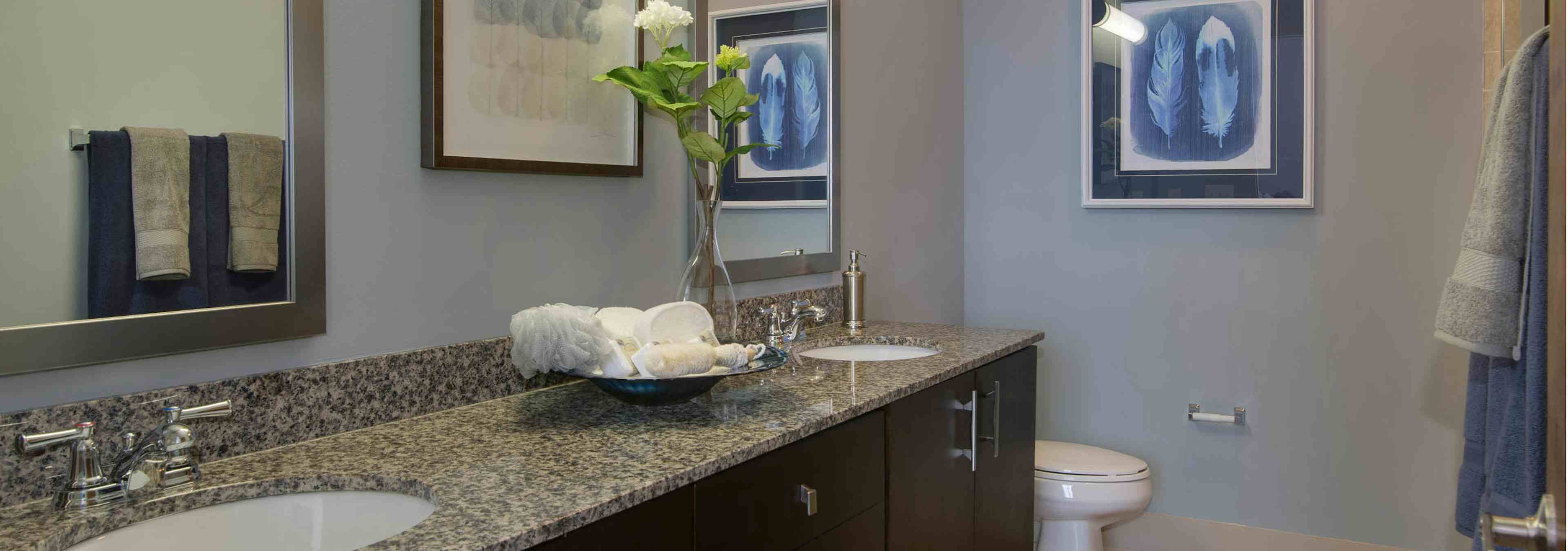 AMLI Old 4th Ward bathroom with double vanity sink and granite countertops with dark cabinets, toilet and light blue walls