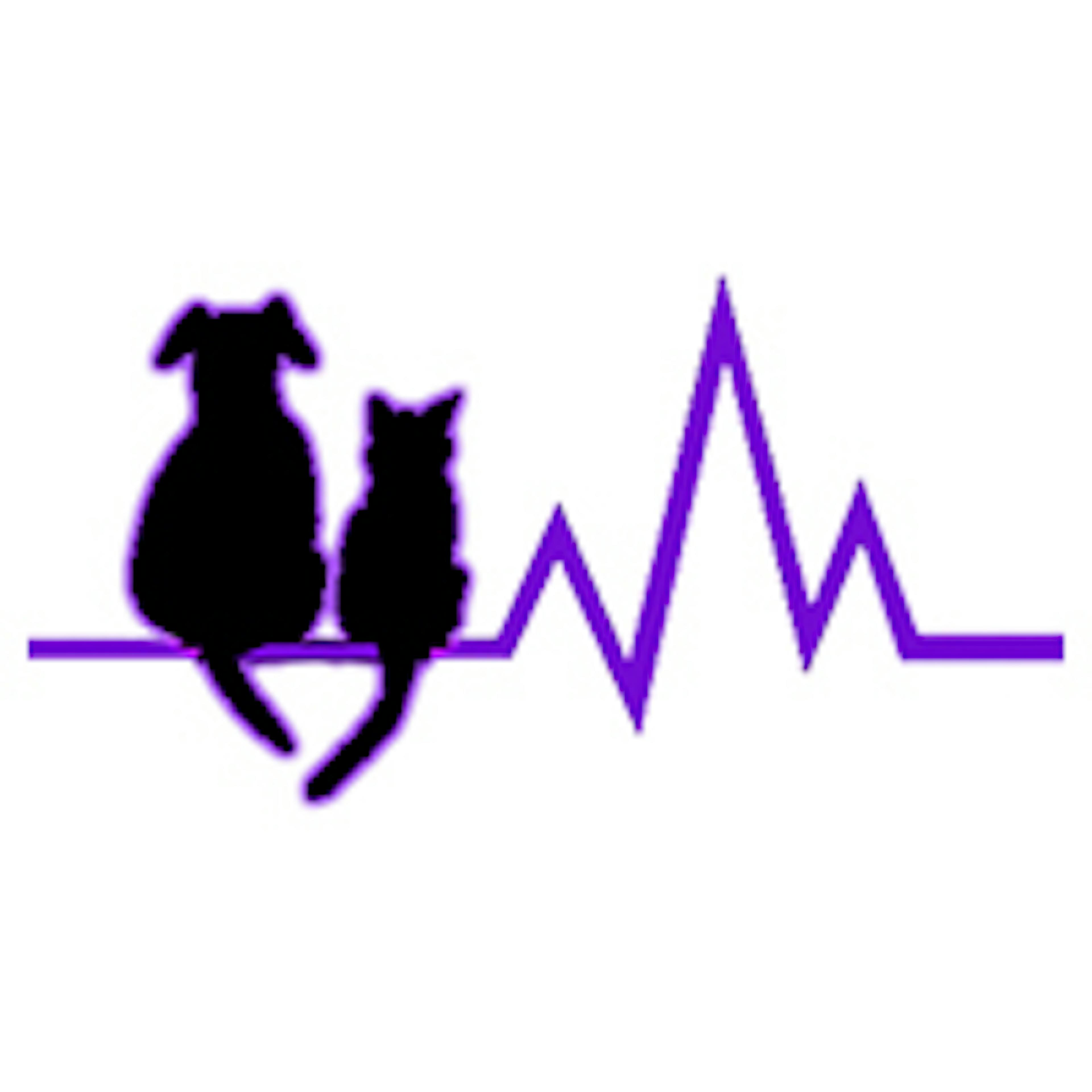 SOUTHWEST VETERINARY HOSPITAL