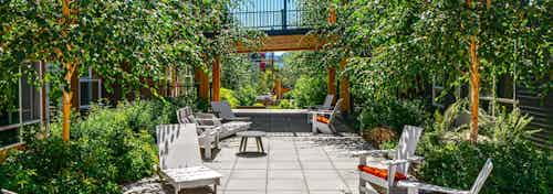 Exterior view of this amazing lush green courtyard with tons of ample seating at AMLI Wallingford