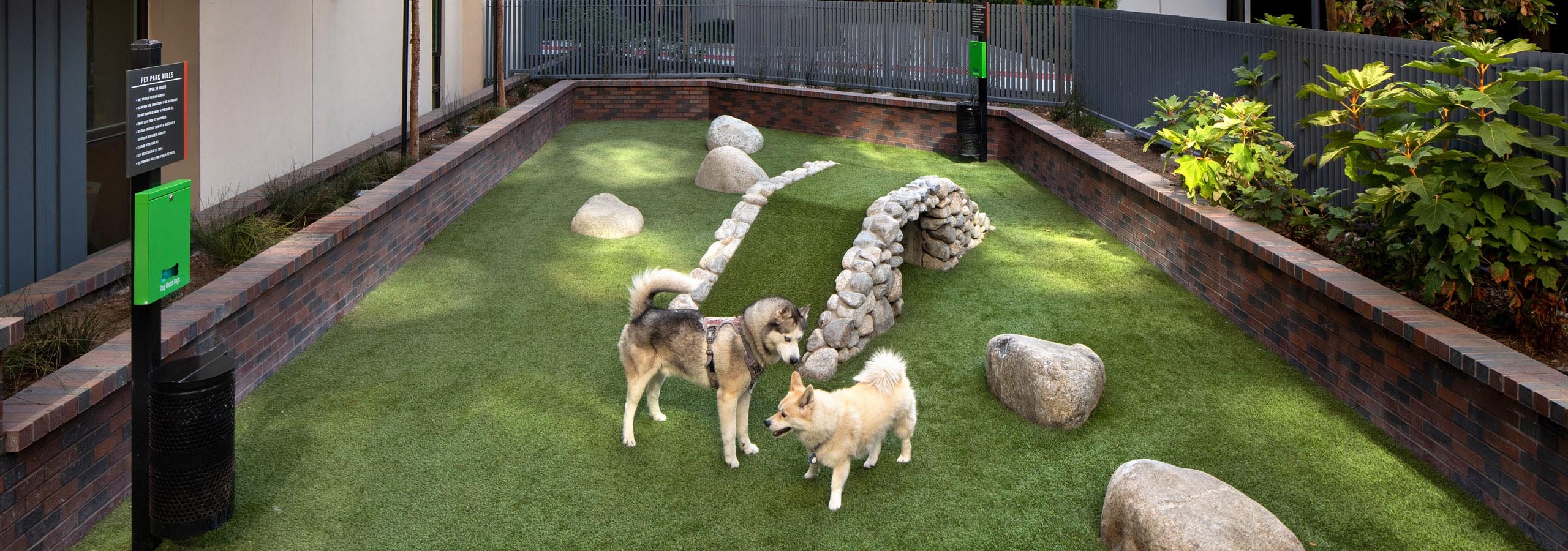 View of landscaped pet park with turf and two dogs playing freely and enclosed by a short brick wall at AMLI Old Pasadena