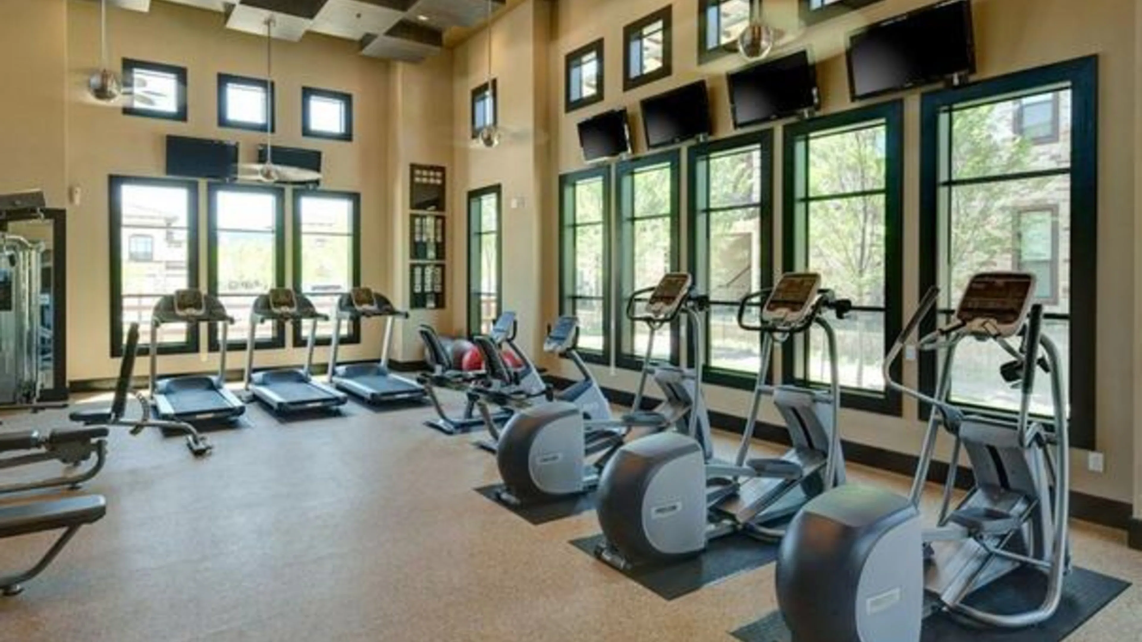 Luxury Apartment Gym