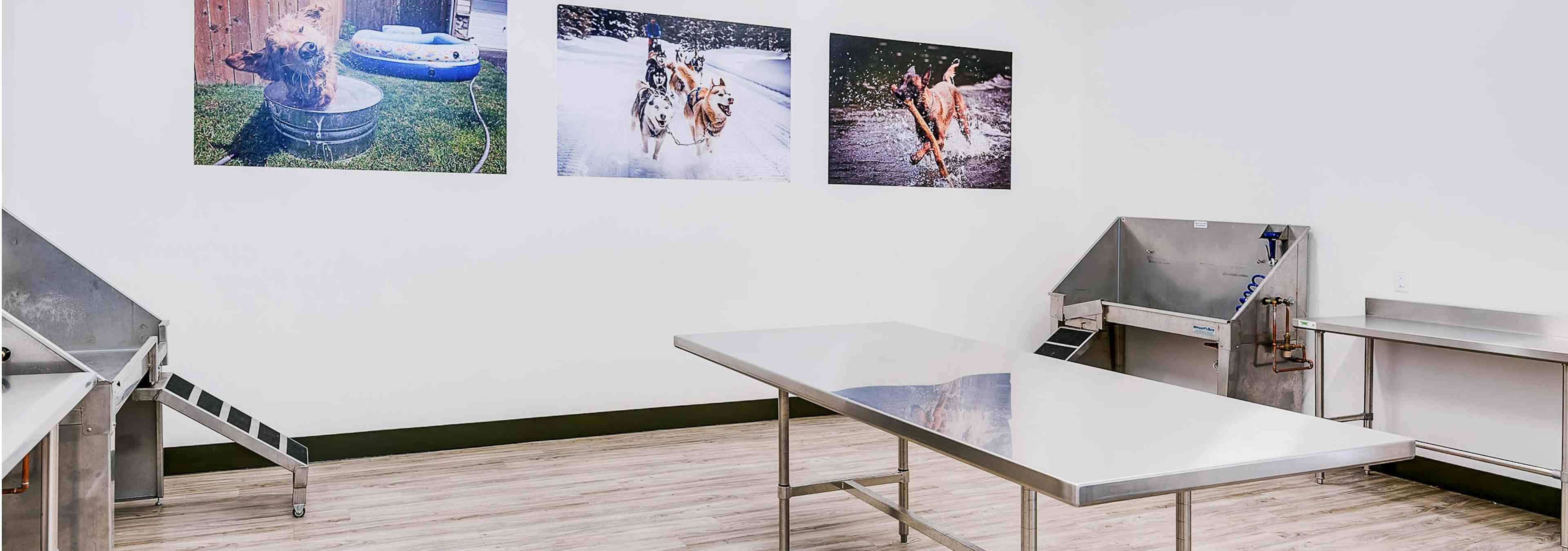 Interior view of a dog washing area at AMLI Cherry Creek apartments with a grooming table and washing tub and dog photography