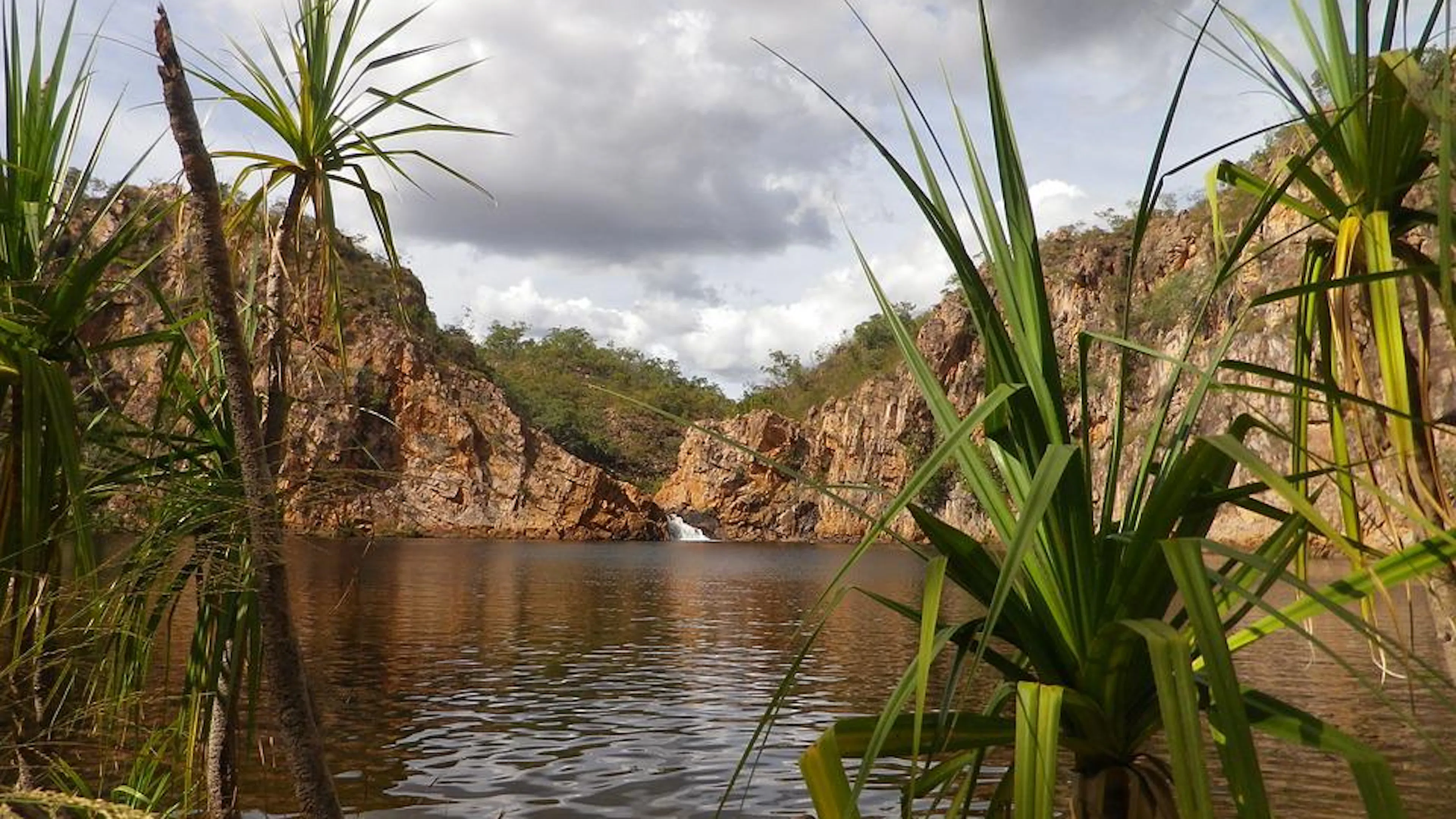 A small waterfall feeding a cliff lined watering hole with reeds in front of the camera