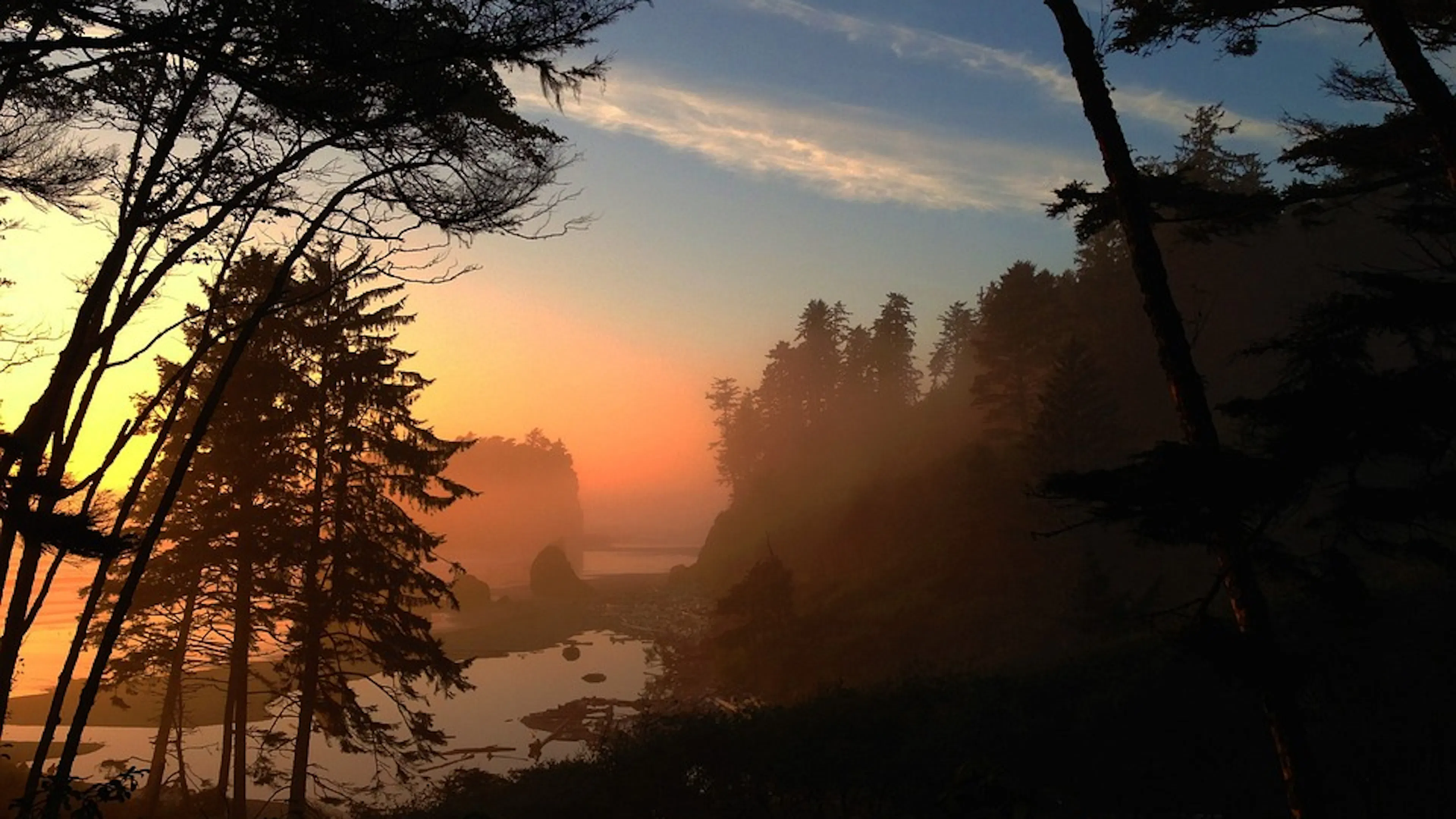 A dusky view of a misty and forested rocky coast in the sunset